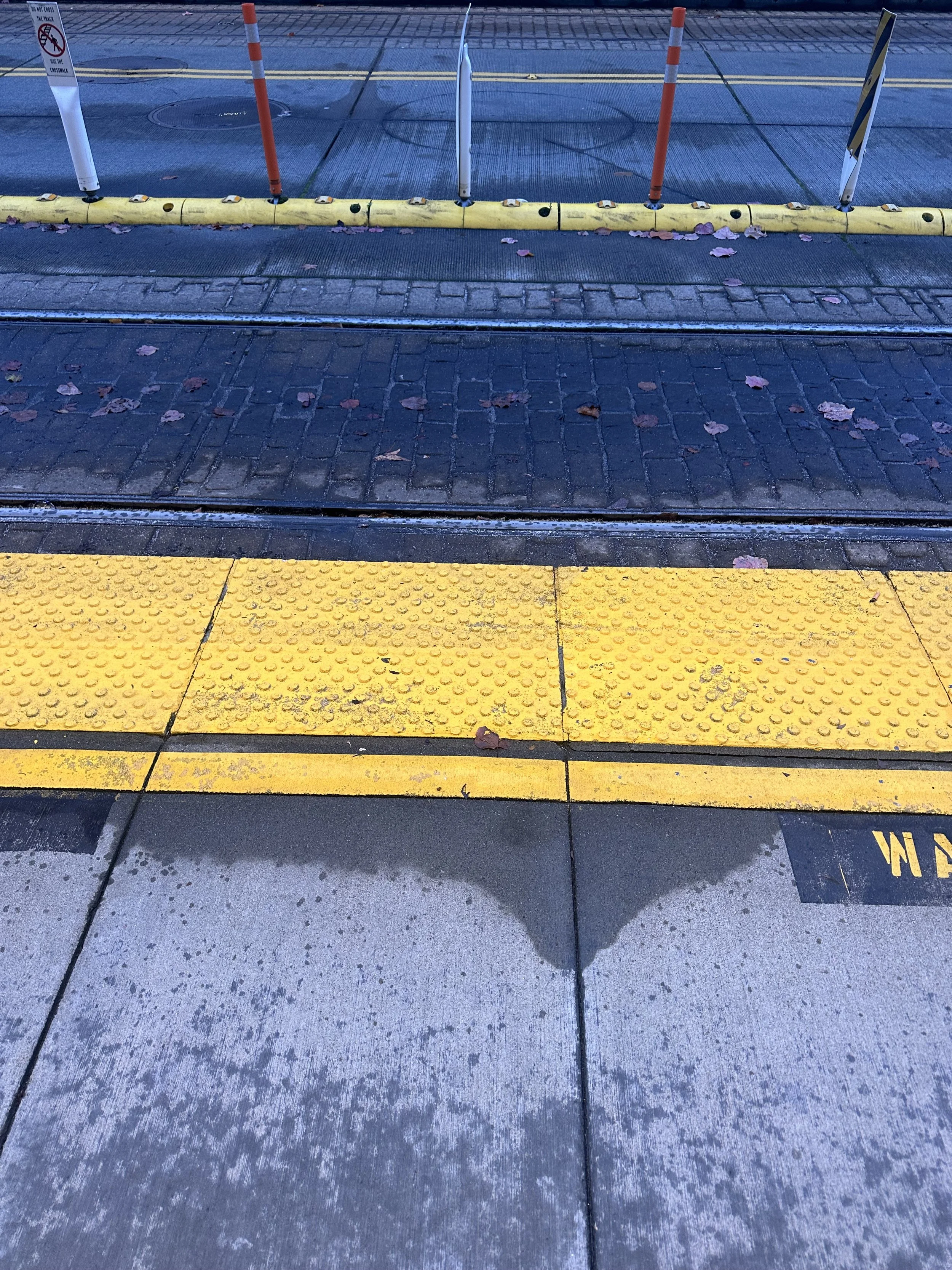 Sidewalk with yellow tactile paving, black tram tracks, and a curb with striped cones and barriers on a wet pavement with scattered fallen leaves.