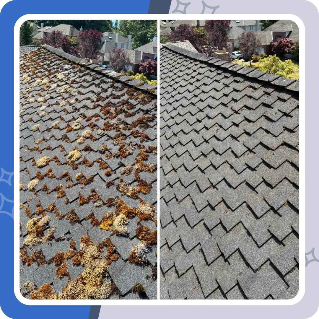 Moss removal on a two story home in Sammamish, Washington
