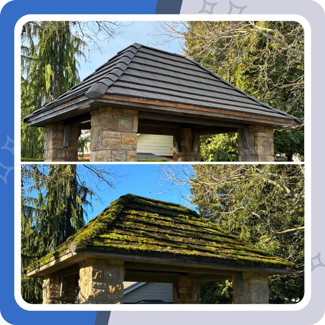 Cement roof tile cleaning in Sammamish, Washington