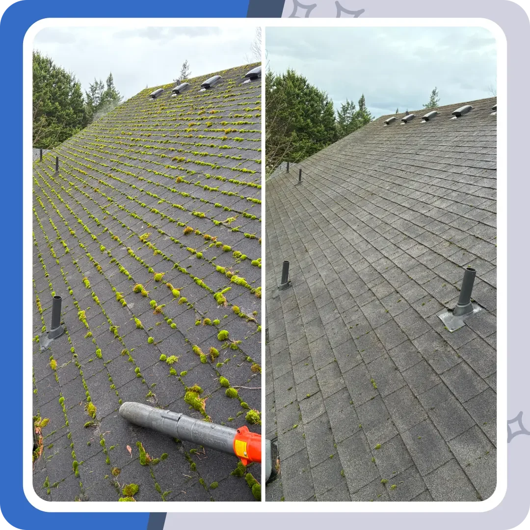 Roof cleaning for apartment in North Bend, Washington