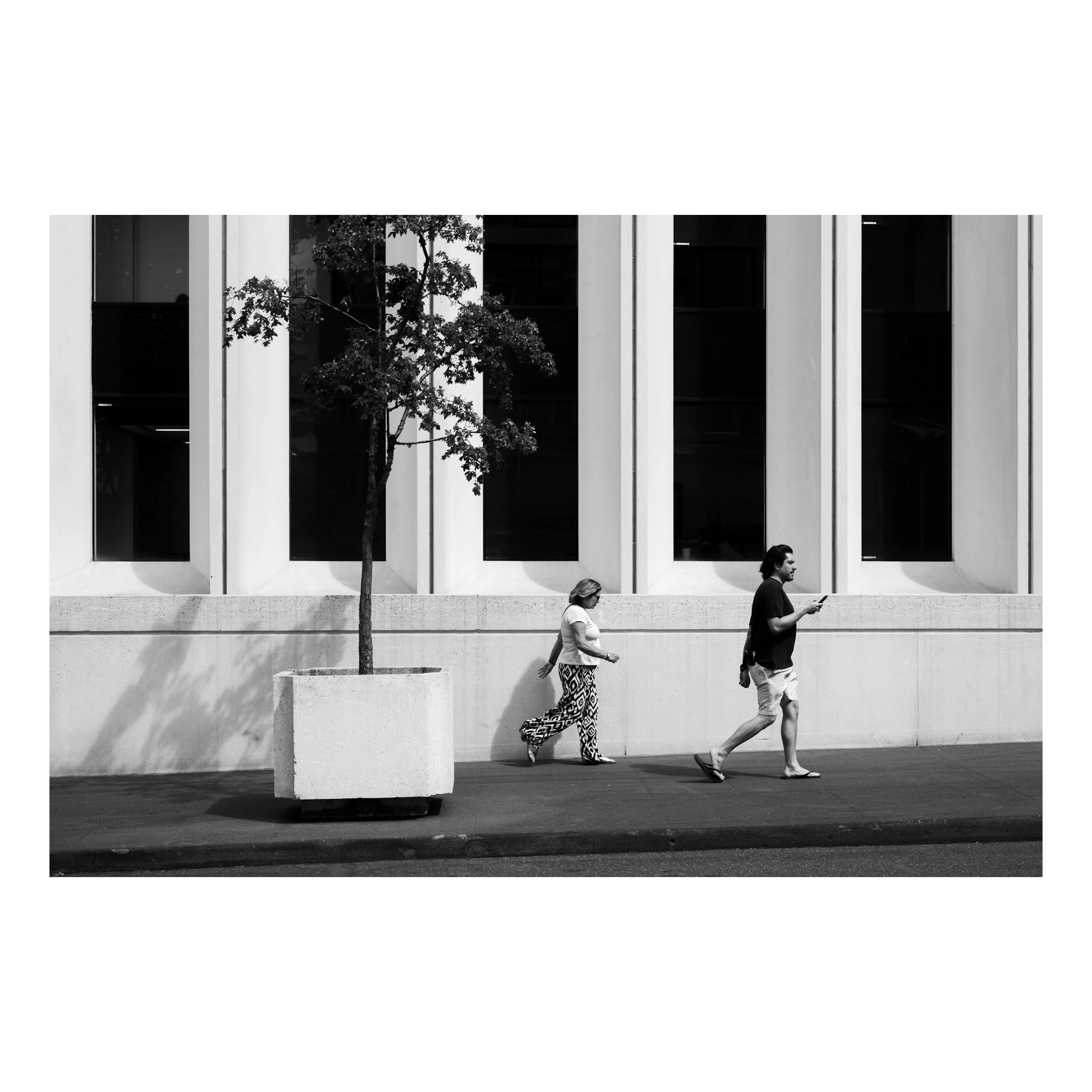 IMG_1109.jpeg