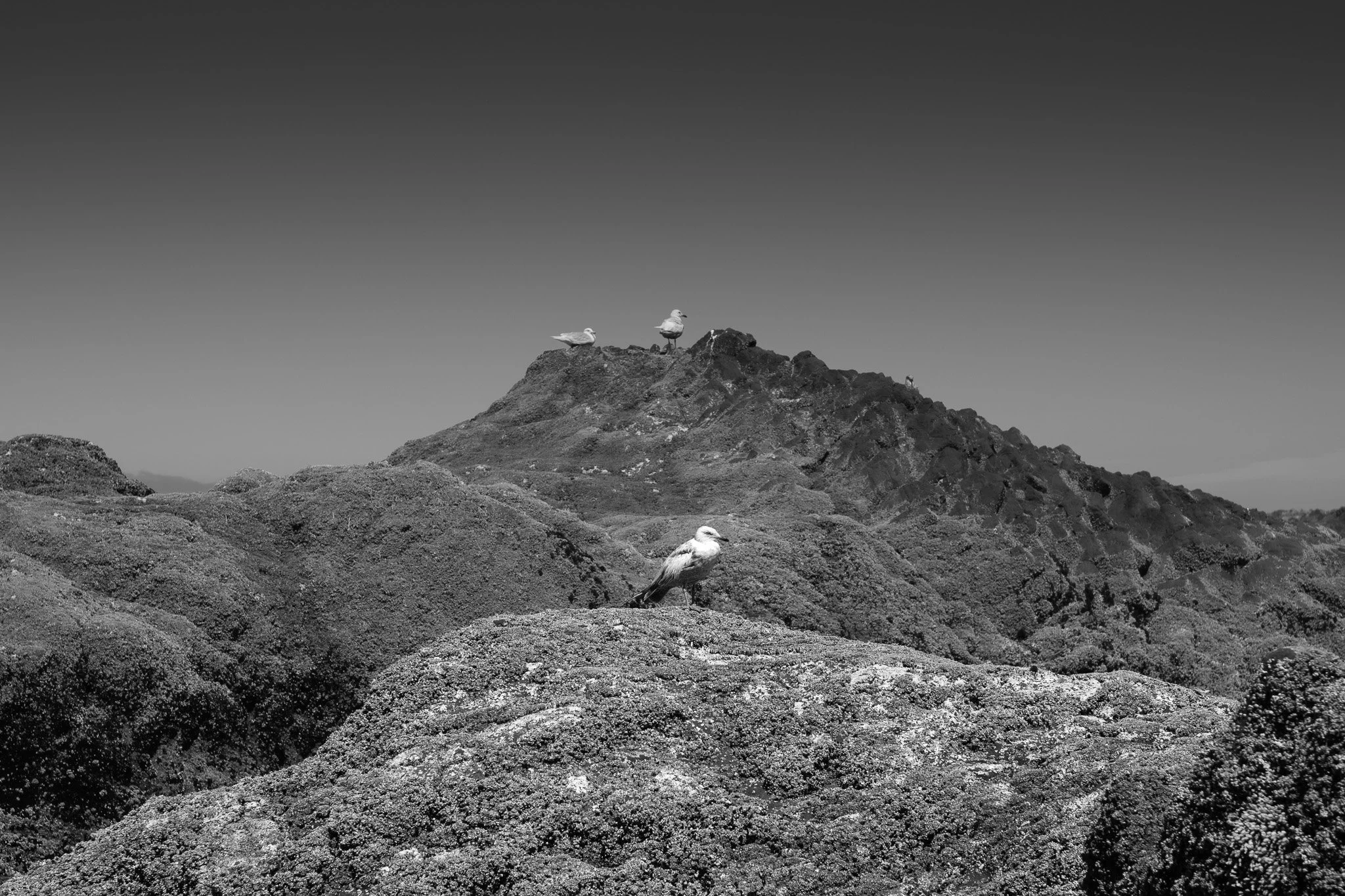 L1001597.jpg