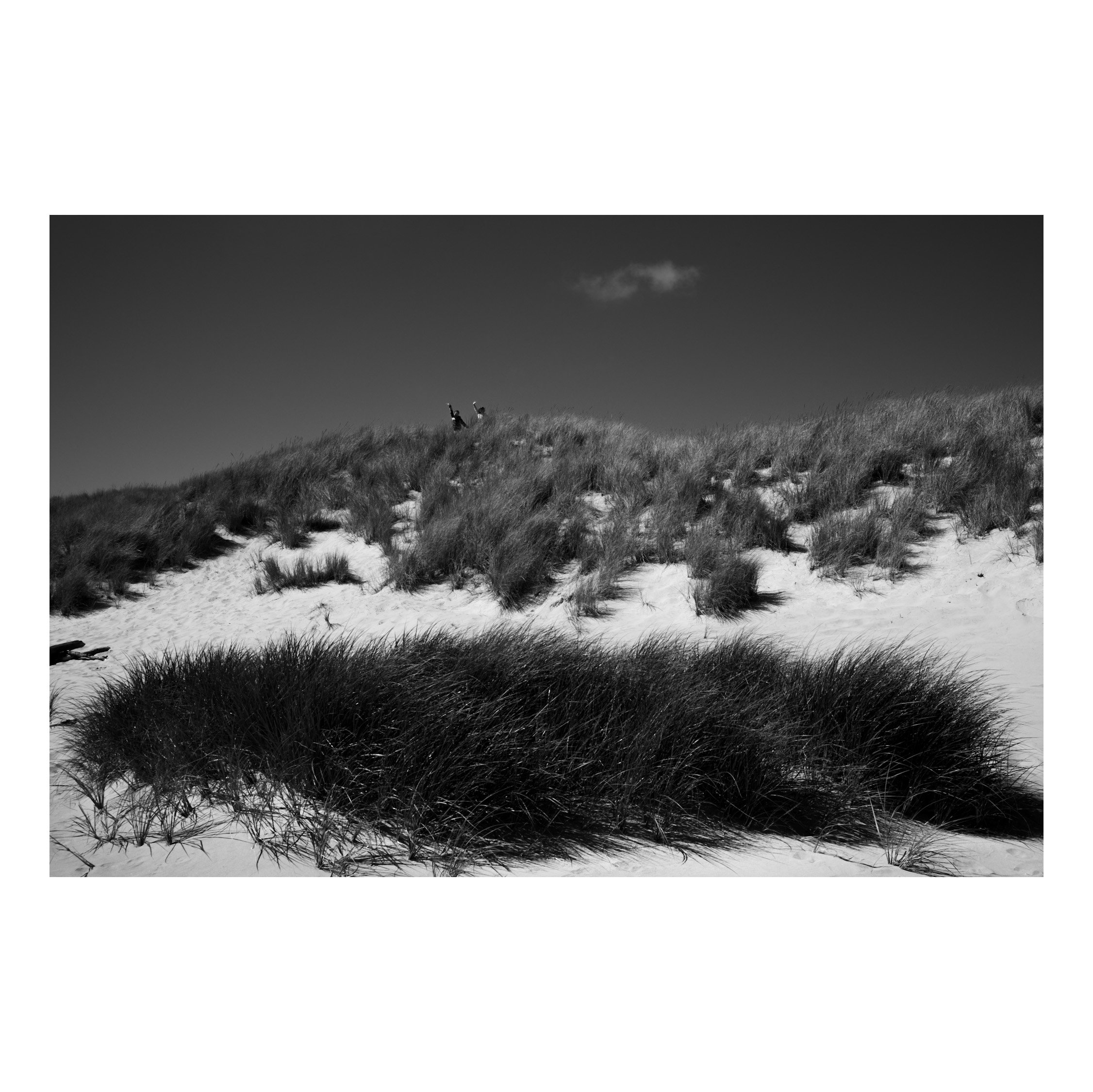 IMG_1098.jpeg