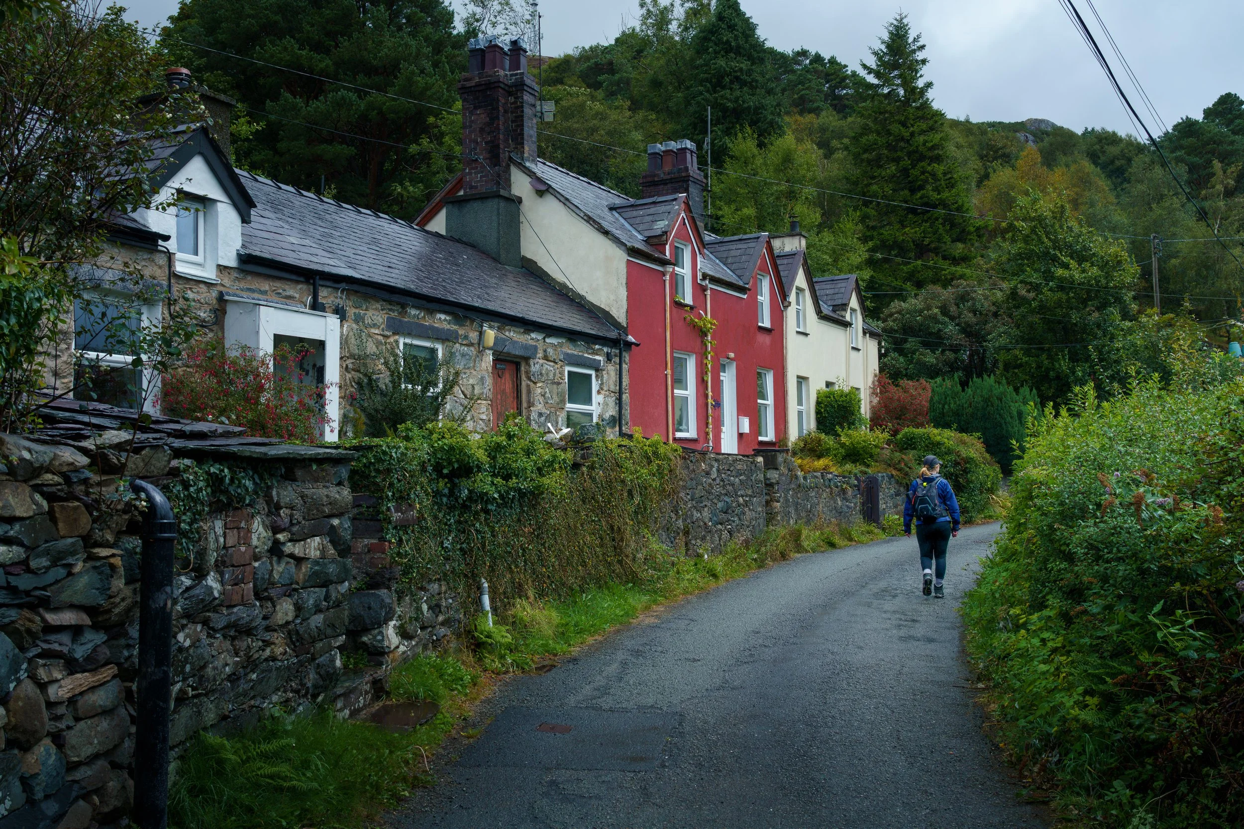 DSC09333.jpg