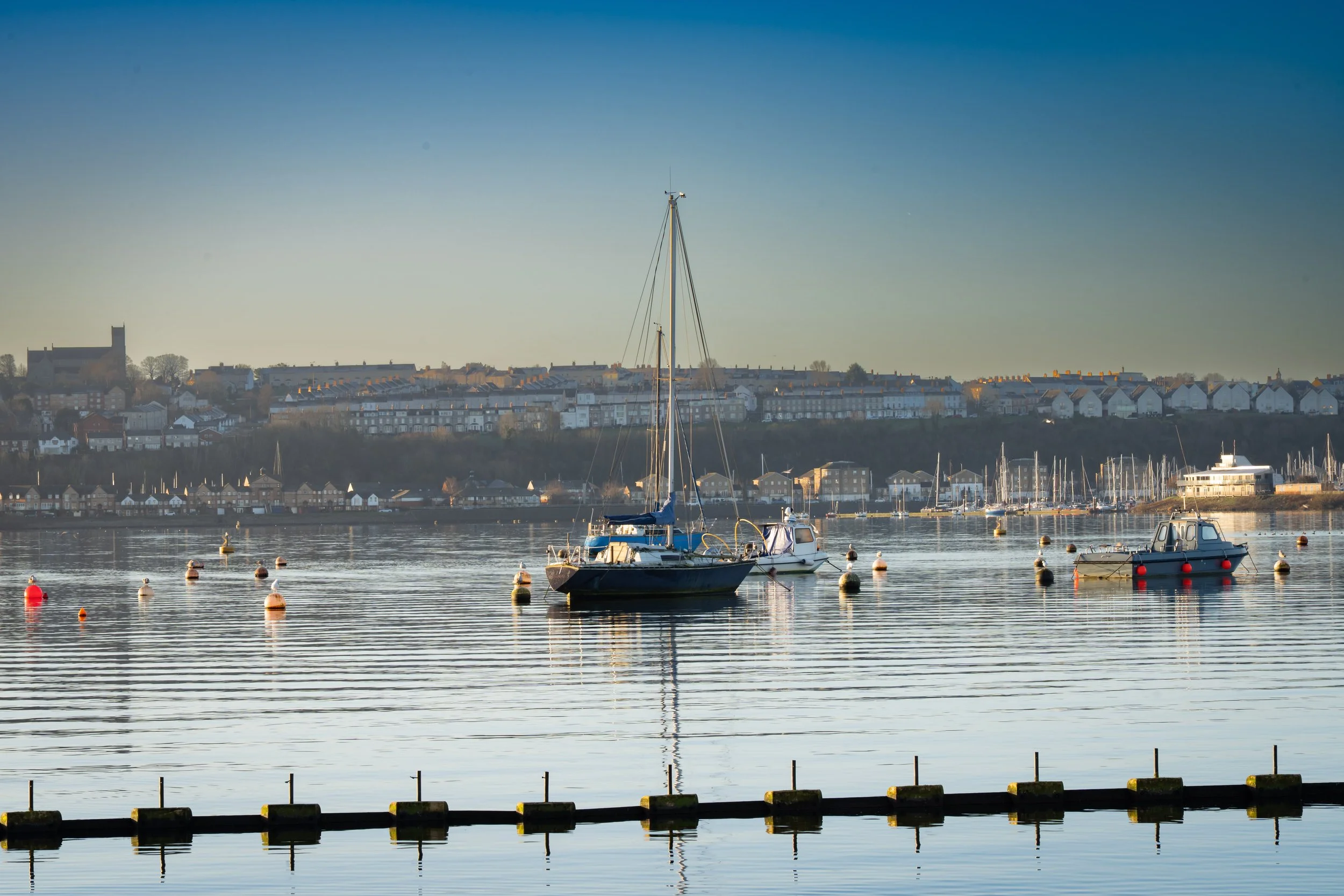 20250228-Nature-Cardiff Bay-17.jpg