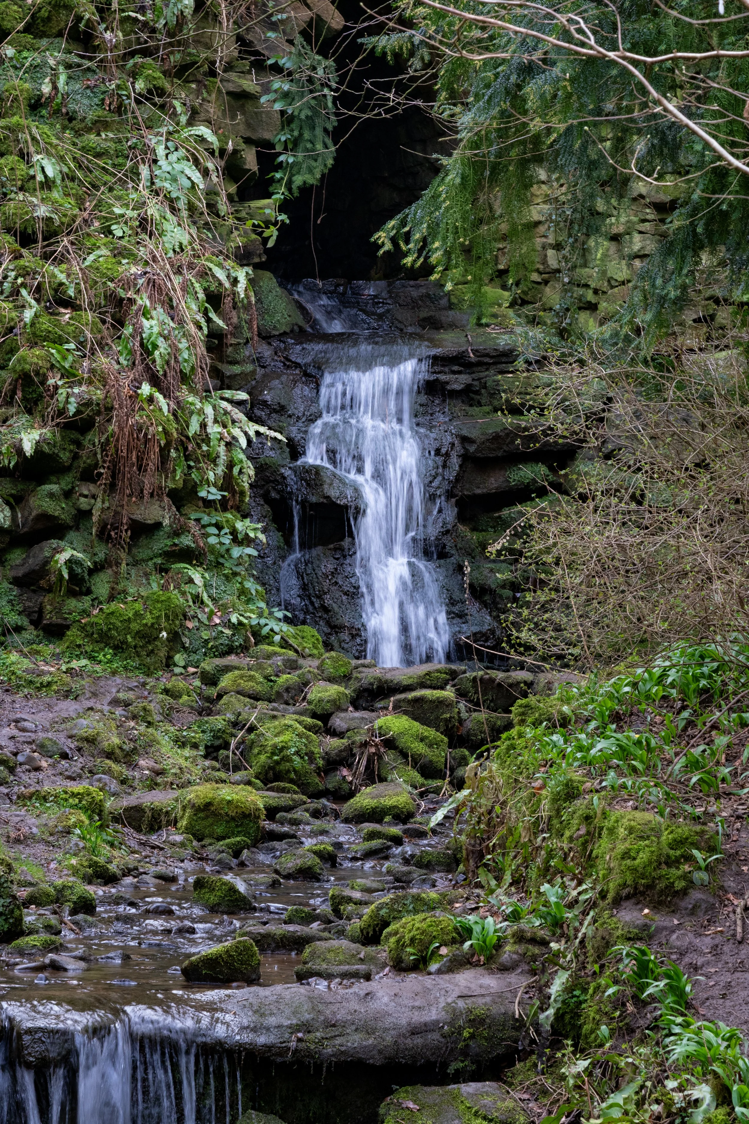 _DSC1191.jpg