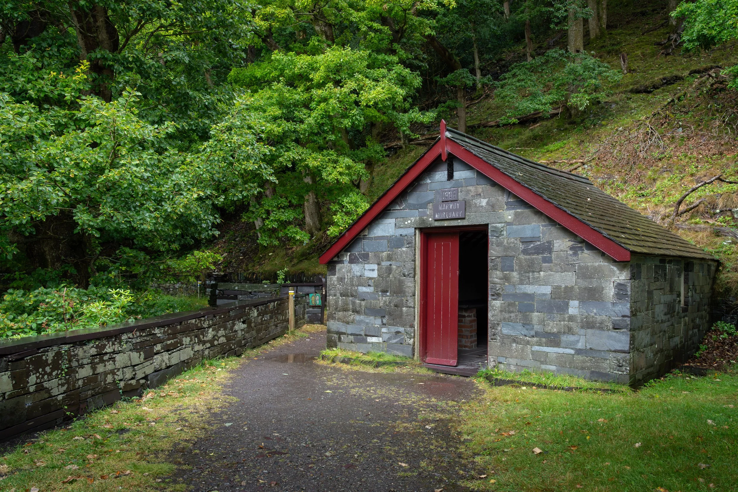 DSC09387.jpg