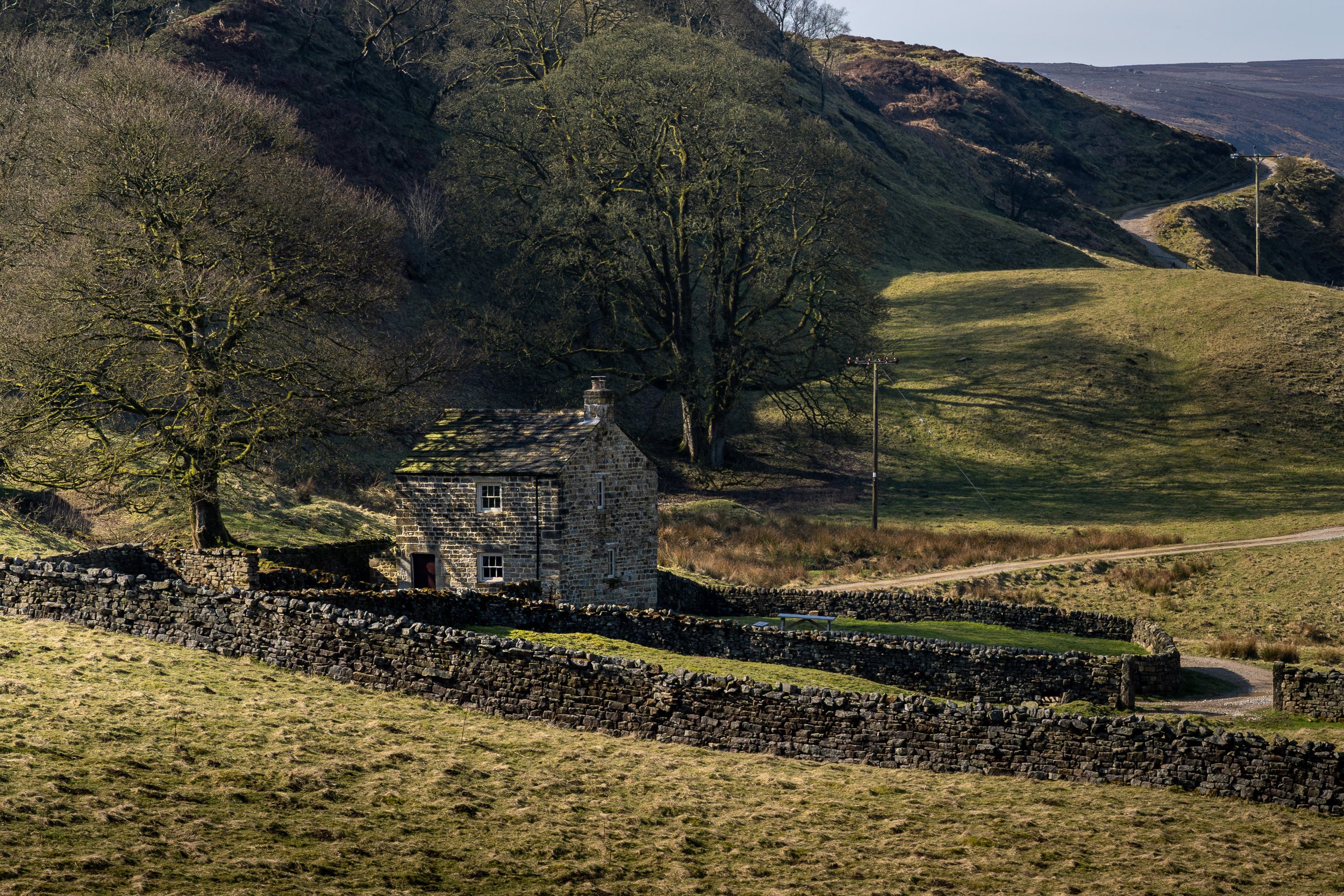 _DSC1357-Enhanced-NR.jpg