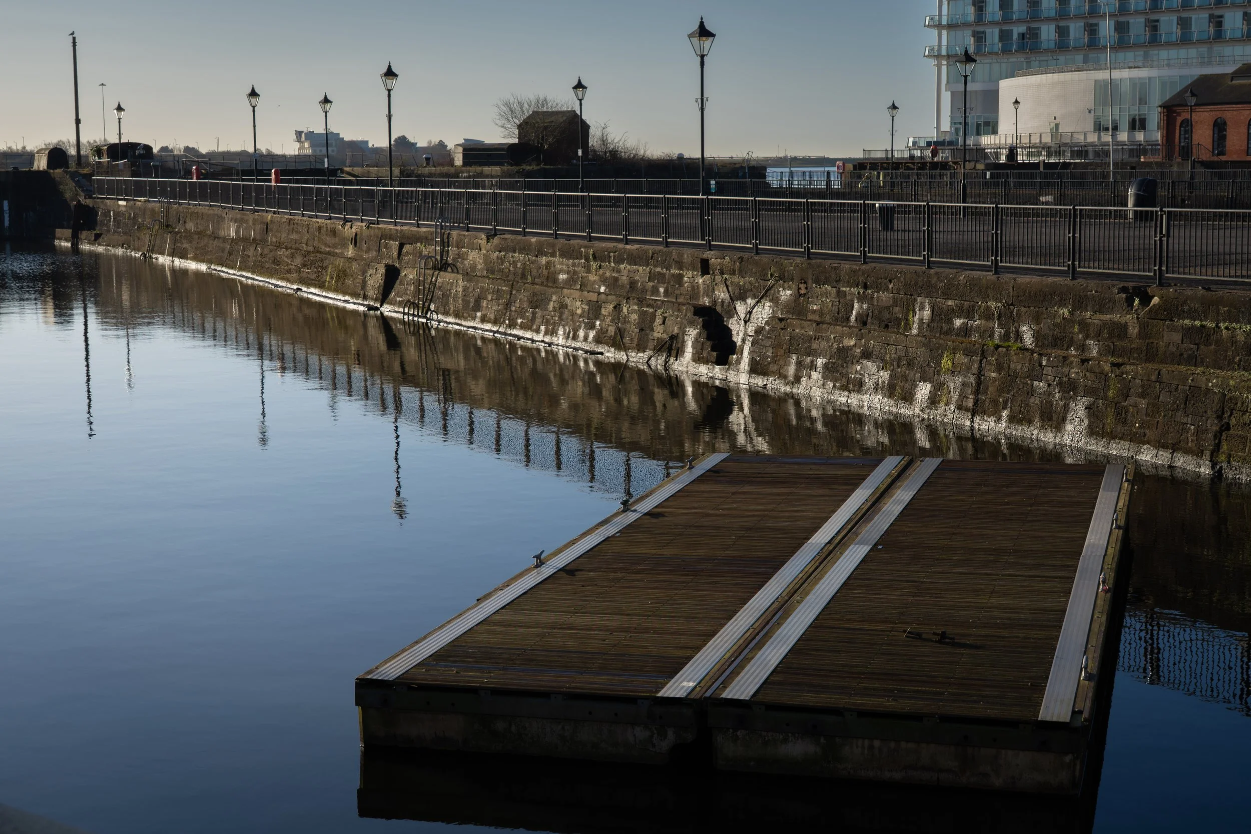 20250228-Nature-Cardiff Bay-21.jpg