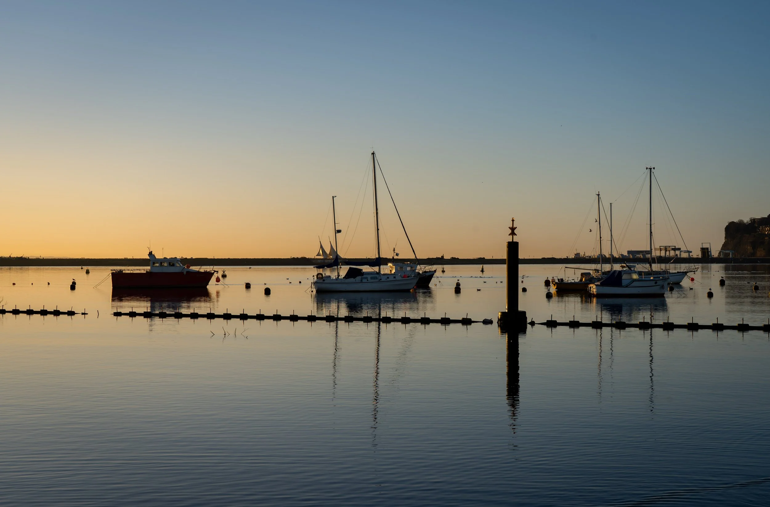 20250228-Nature-Cardiff Bay-11.jpg