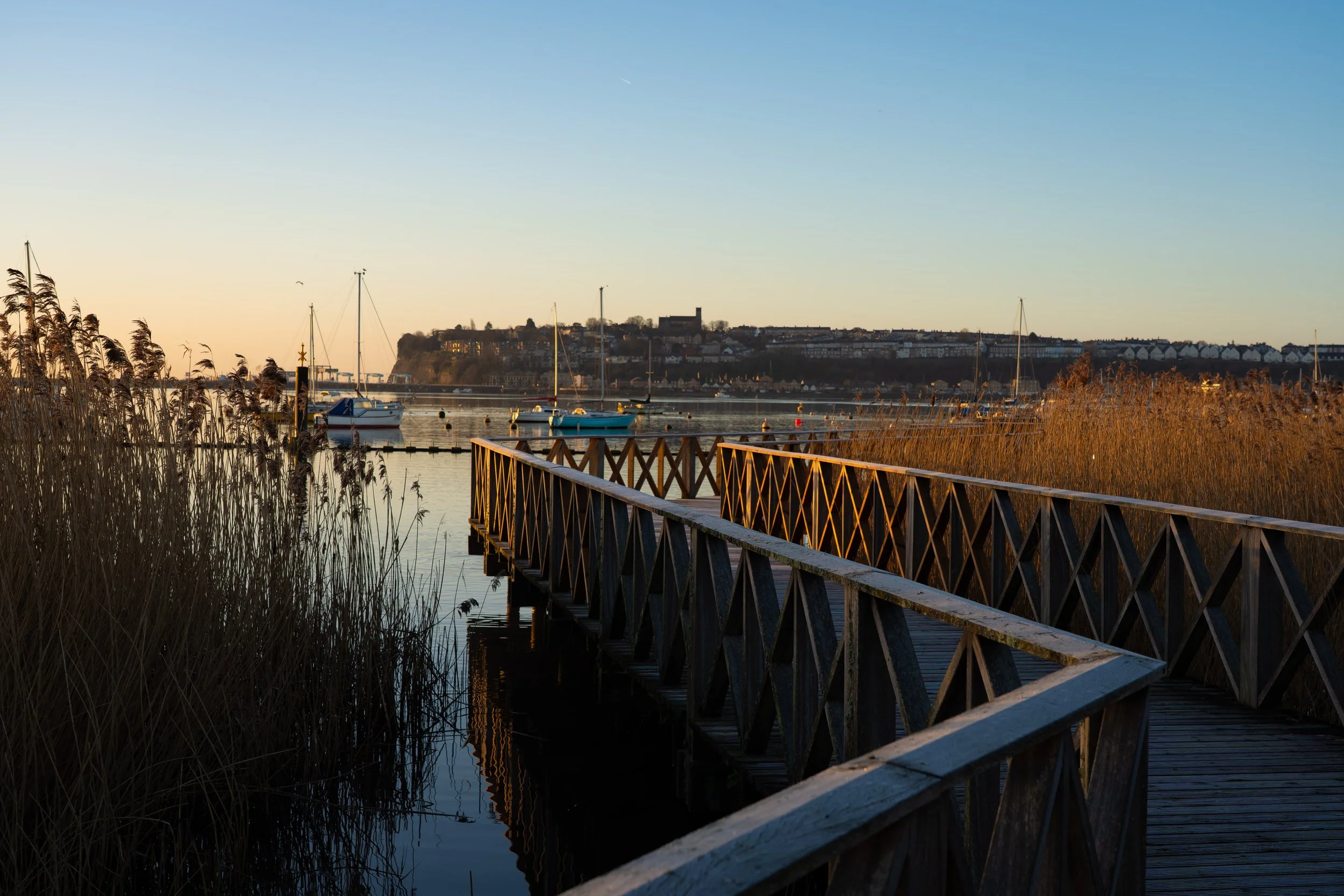 20250228-Nature-Cardiff Bay-7.jpg