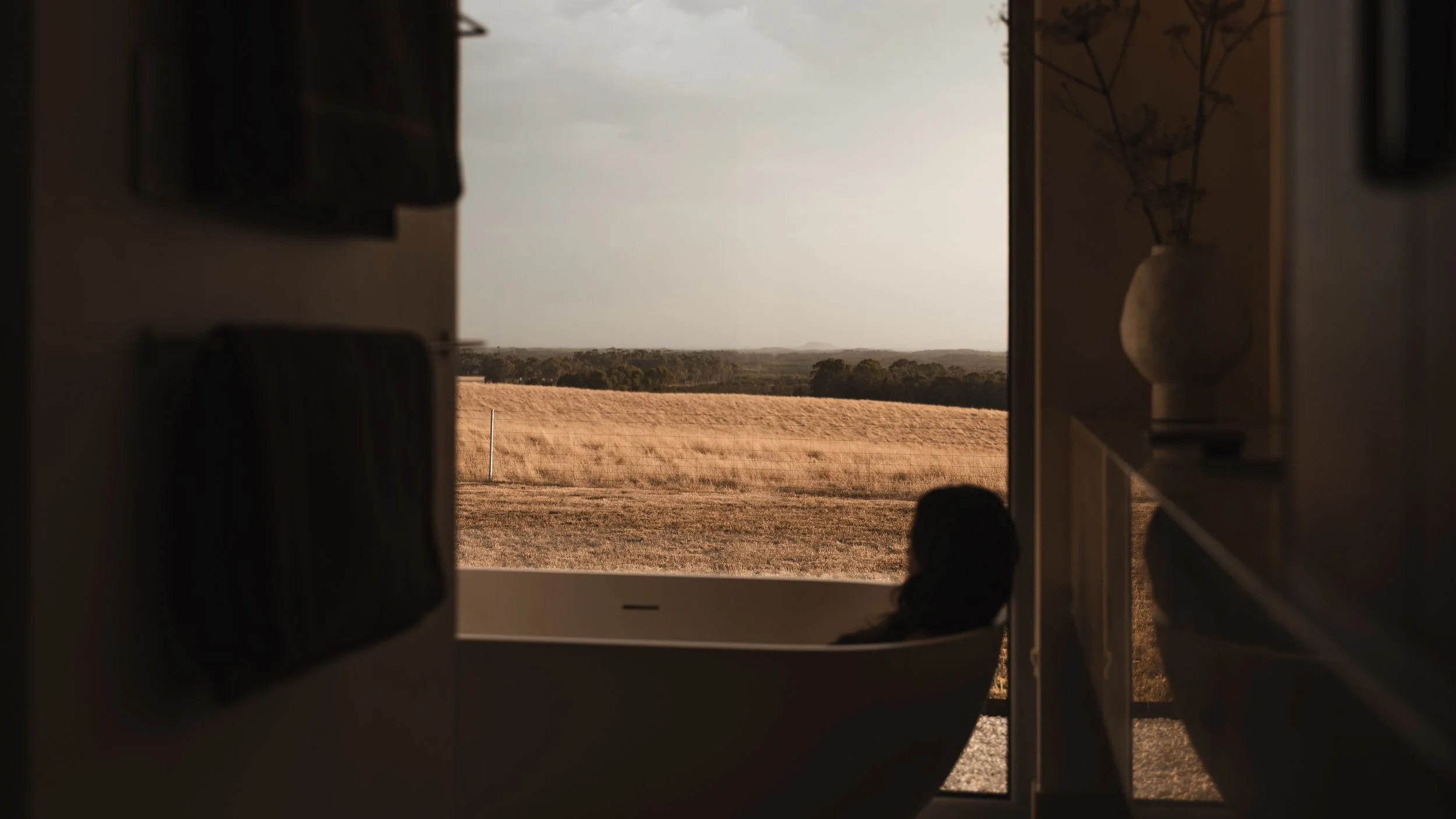 View of a rural field through a window, with a person sitting inside and looking out