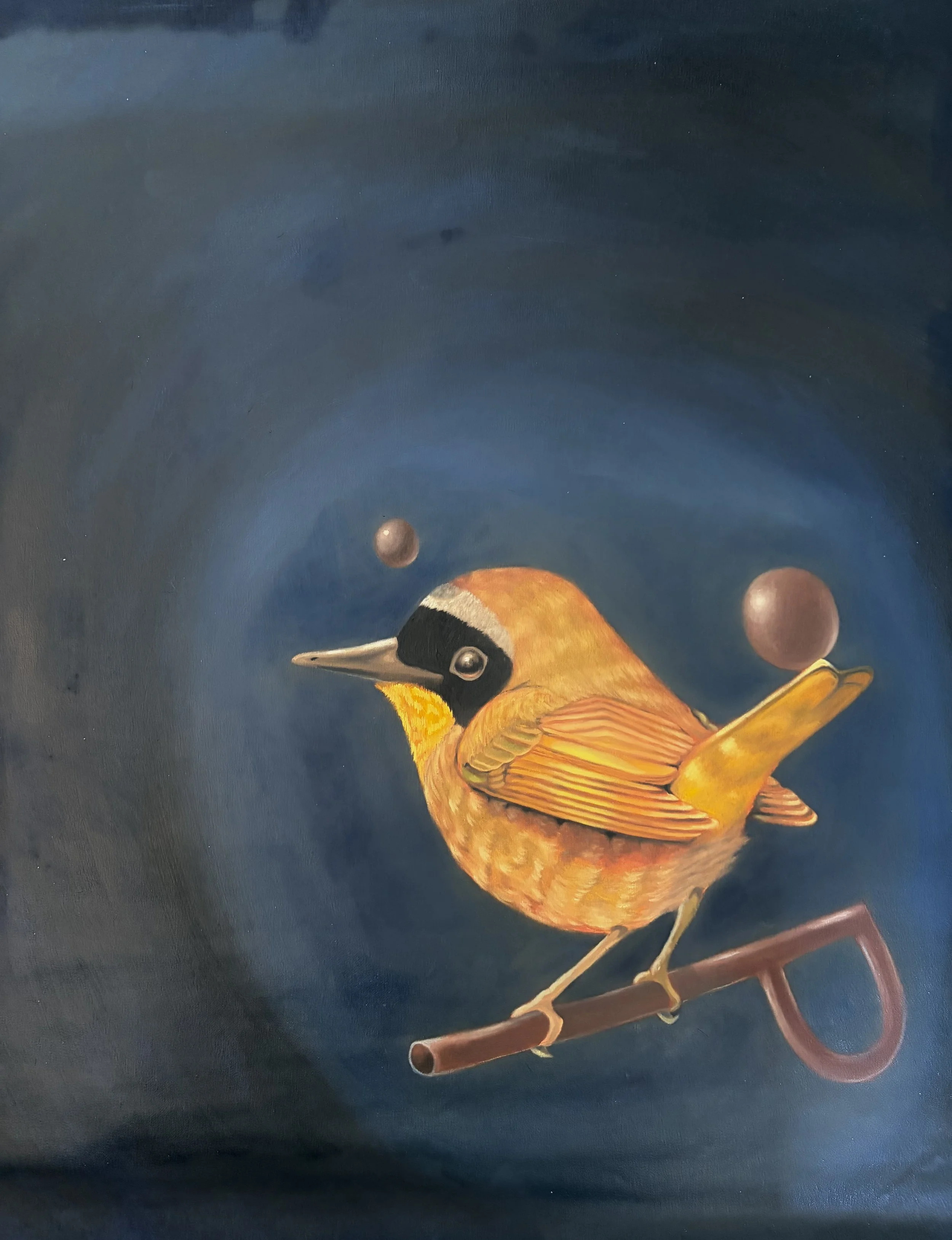 Common Yellowthroat in Waiting.jpeg