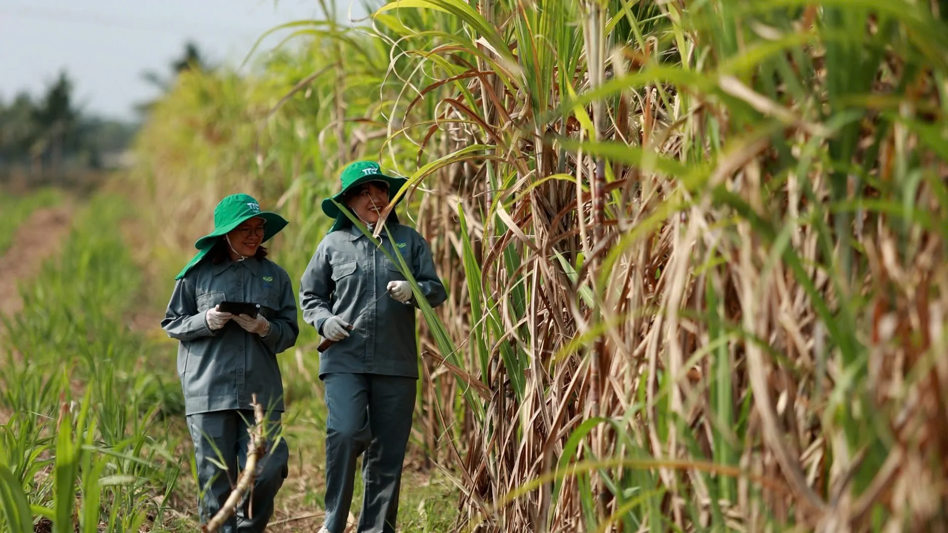 Breaking the valuation ceiling: what will take AgriS to $2.7 billion?