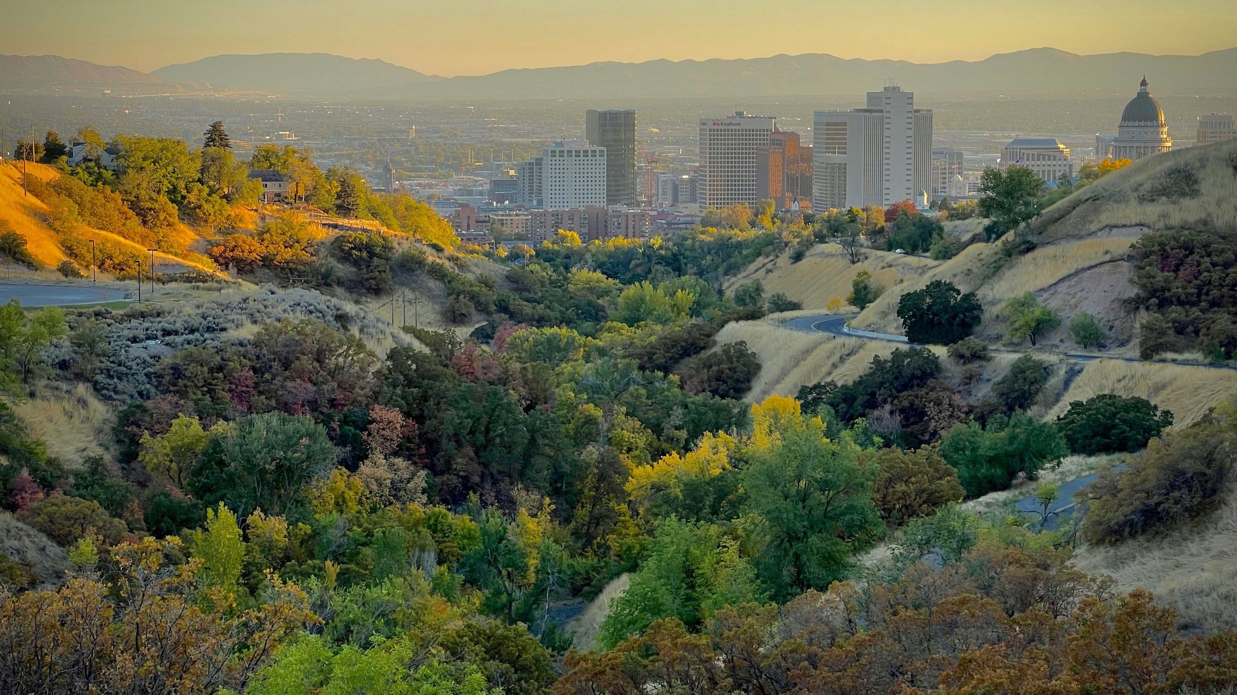 An outdoor view of a city skyline seen from a hillside with trees and hills in the foreground, during sunset.