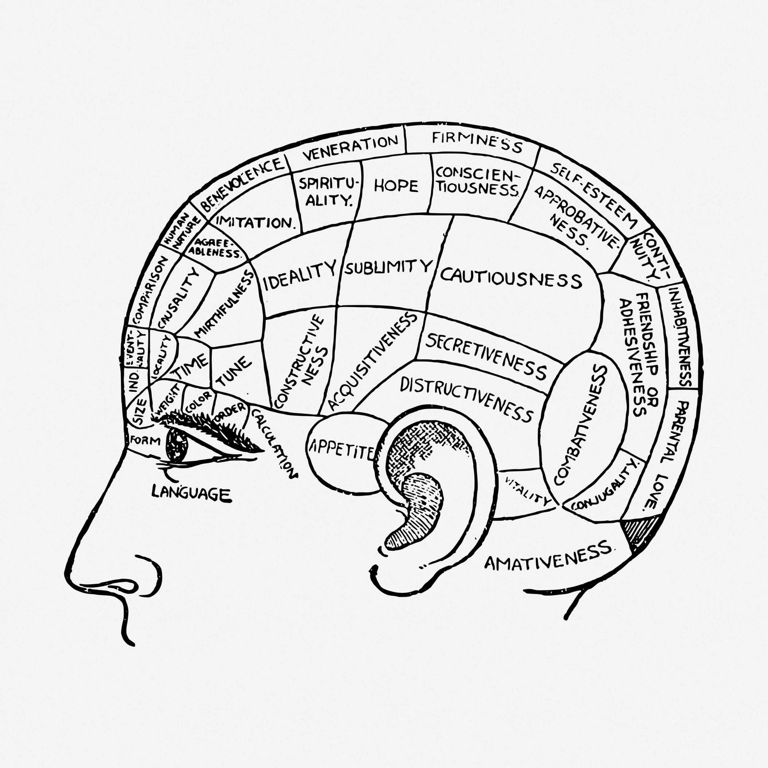 C’est quoi la conscience et à quoi nous sert-elle? (Ceci n’est pas un cours de philo)