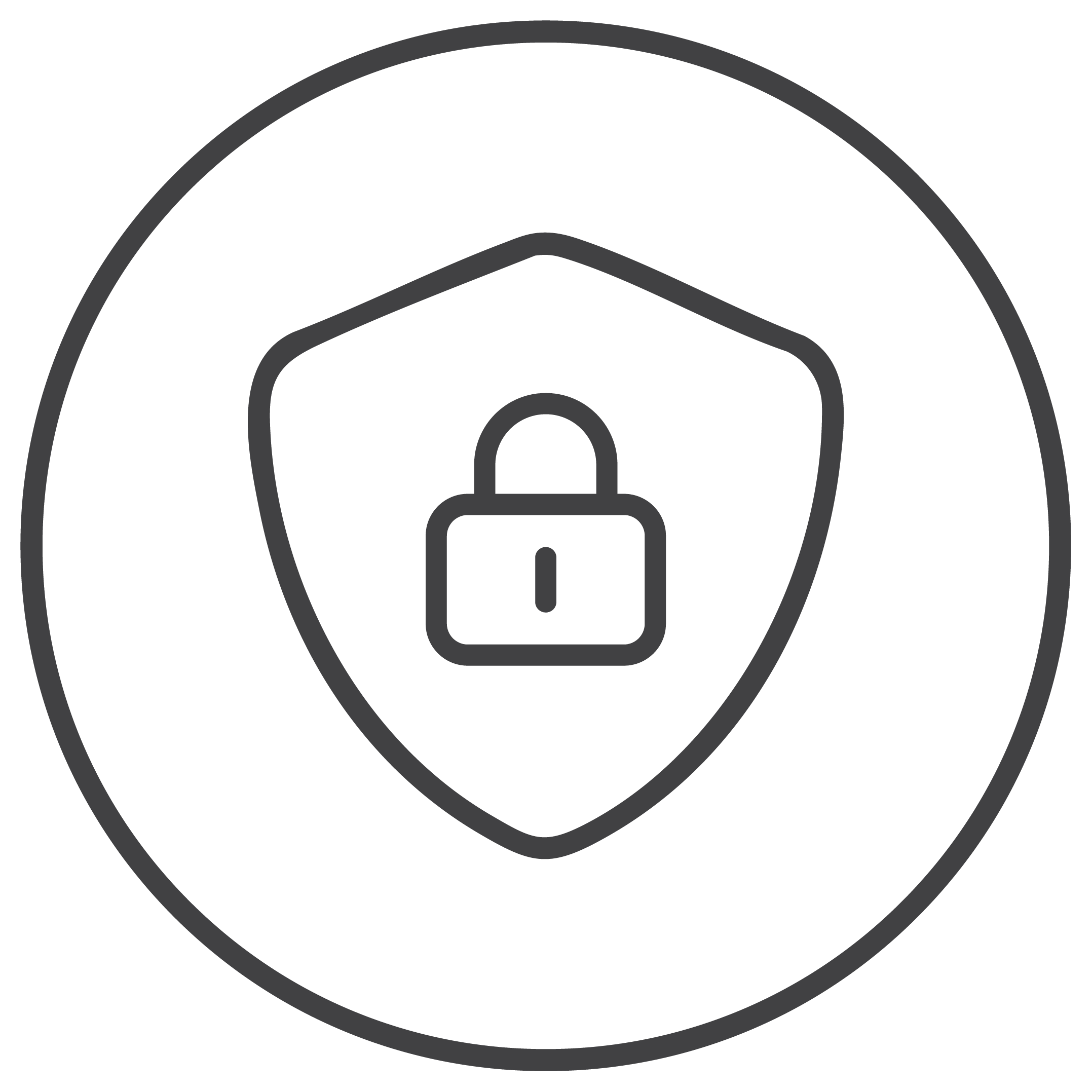 Icon of a shield with a padlock in the center, indicating security or protection.