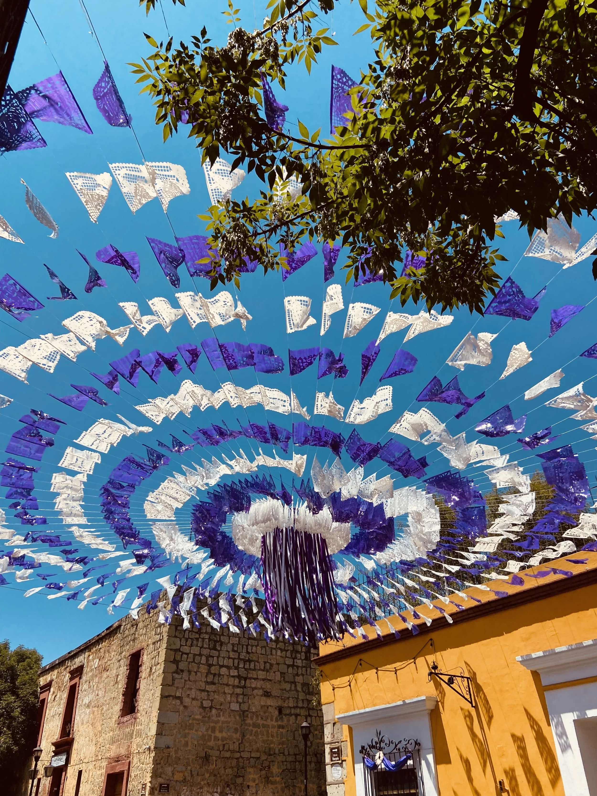 Oaxaca City, A Photo Diary