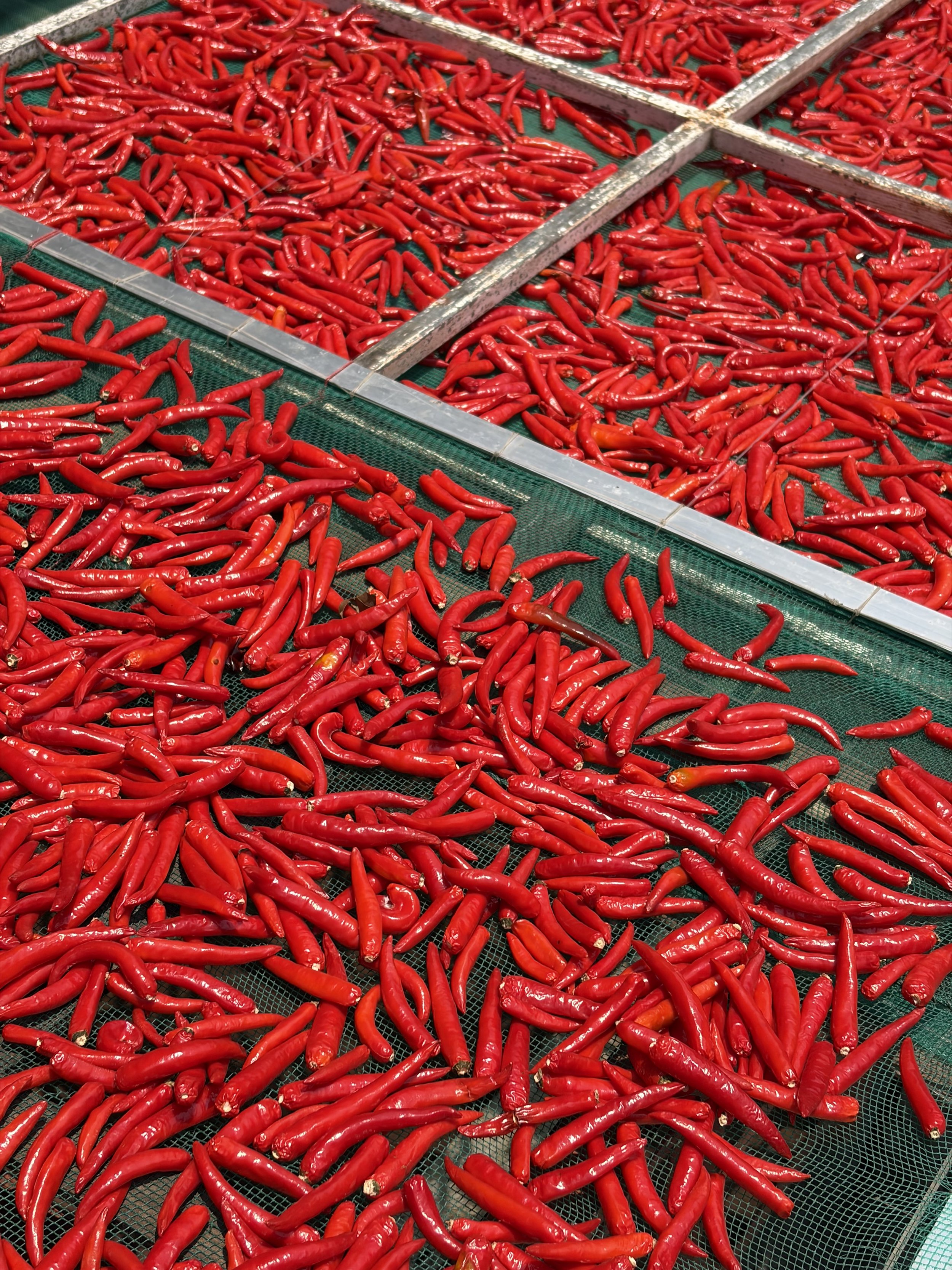 What Asia Gets Right About Plant-Based Eating