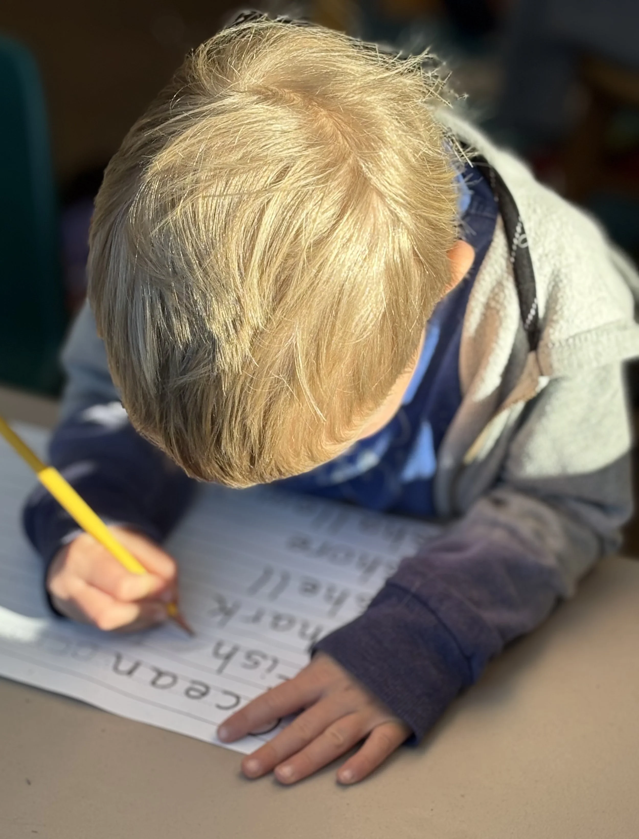 Mountain Meadows Montessori School - Student Enrollment Application 2025-2026