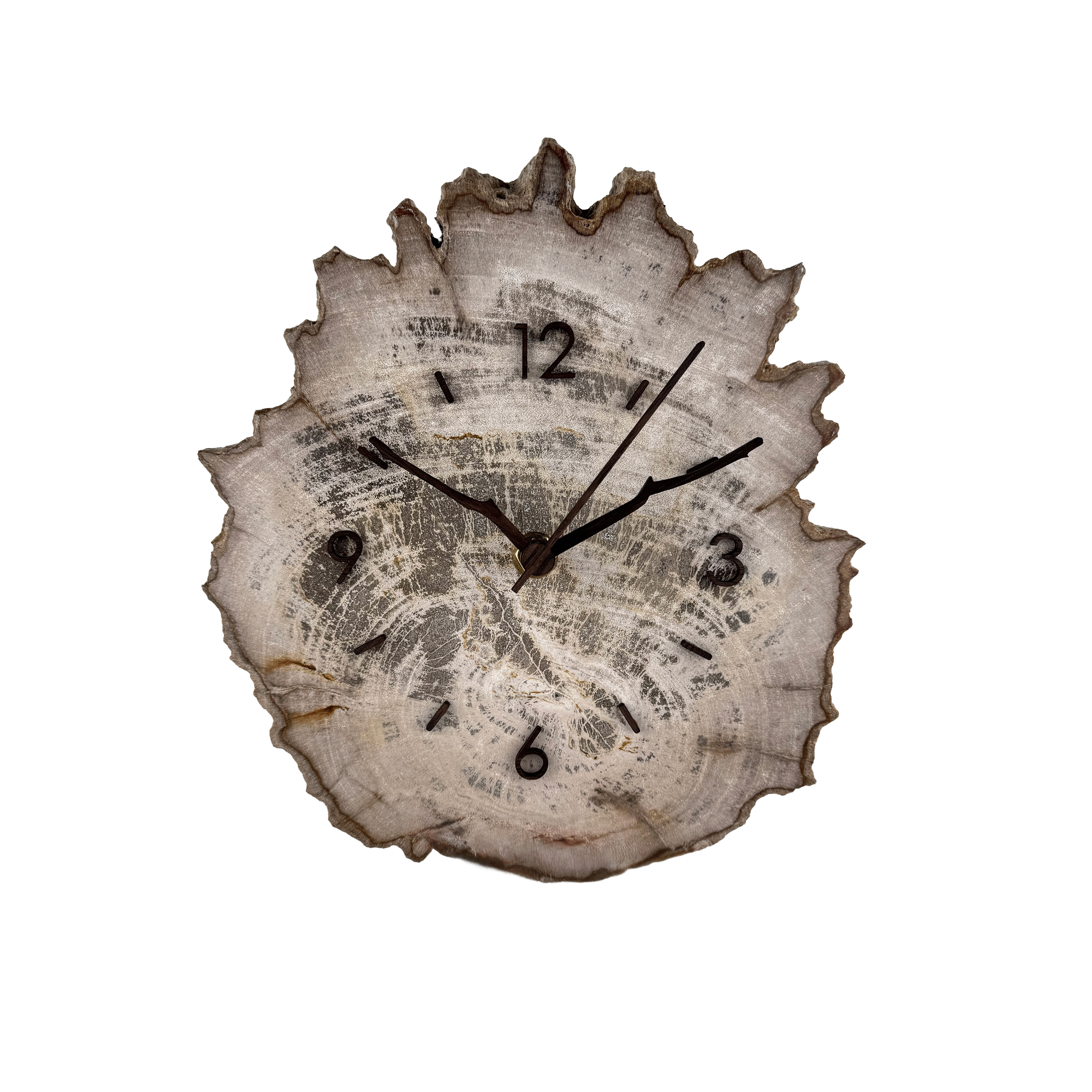Versteinerte Holz Uhr 2