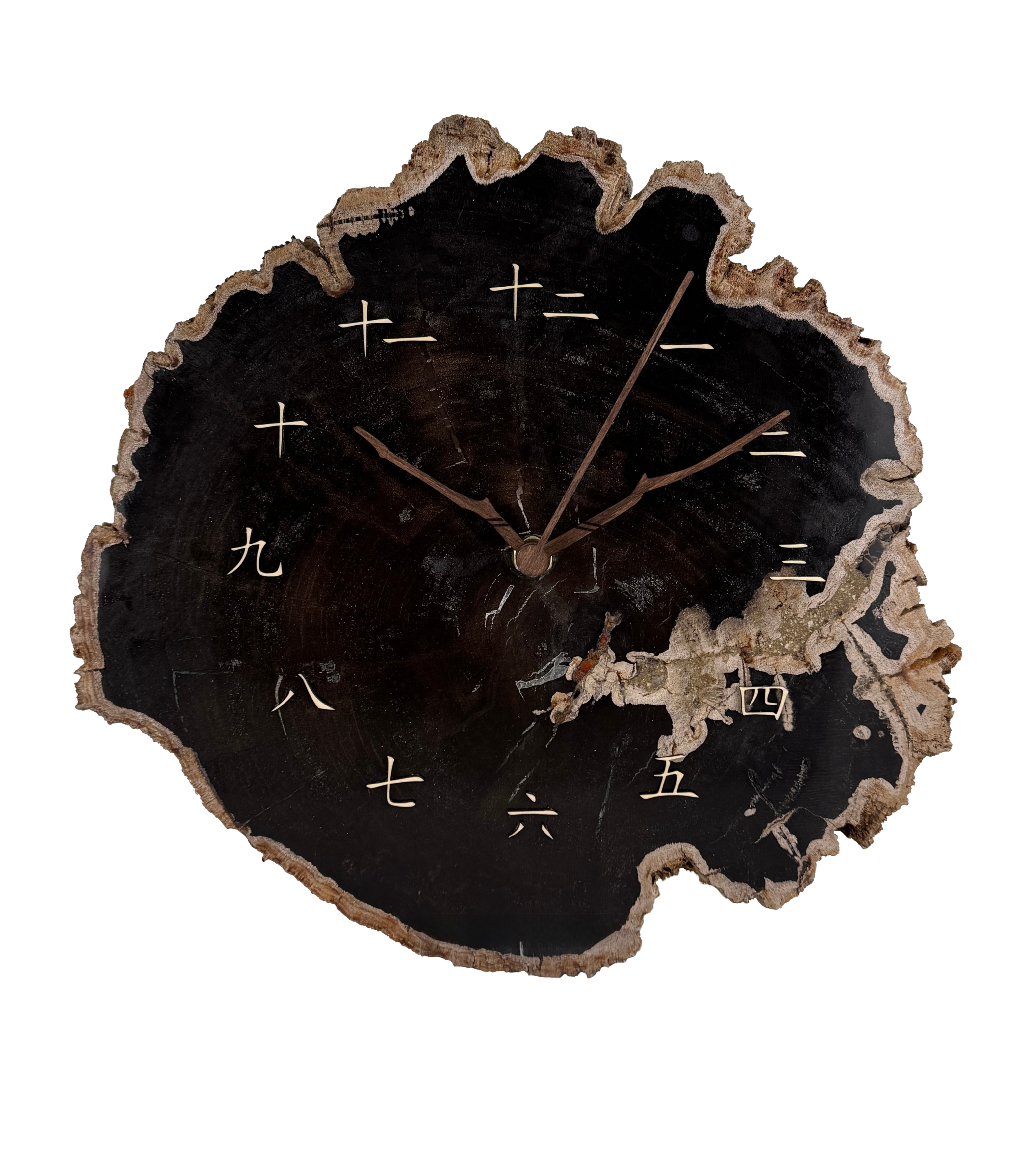 Versteinerte Holz Uhr 3