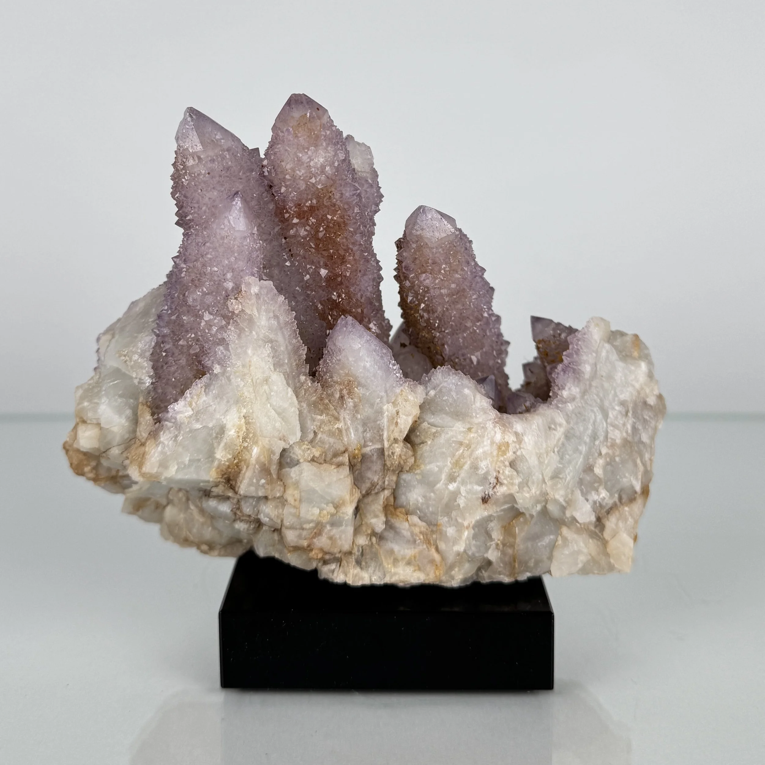 Kaktus-Amethyst xx | Südafrika