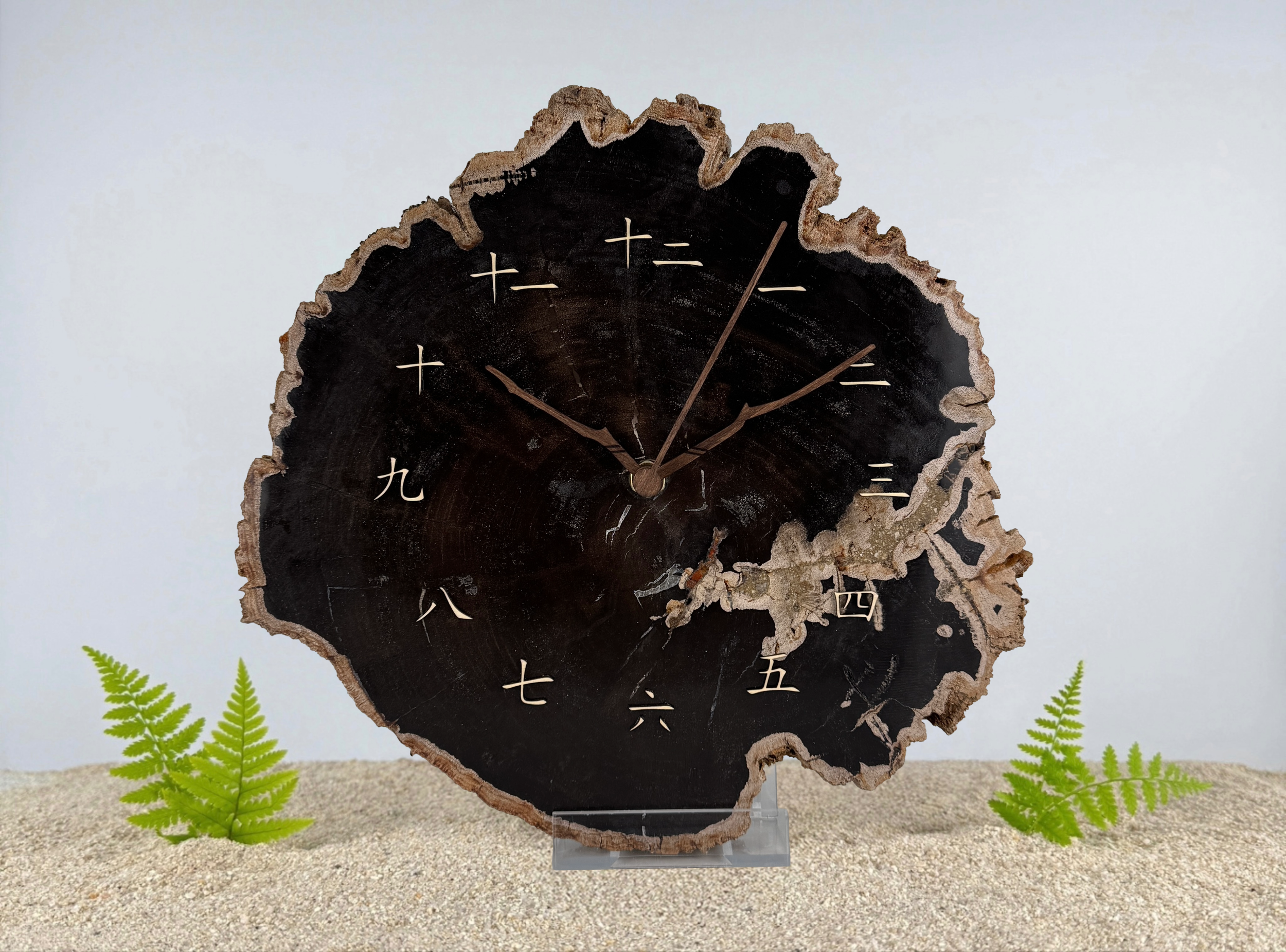 Wanduhr aus versteinertem Holz | Größe: L | Ziffern: Jakarta