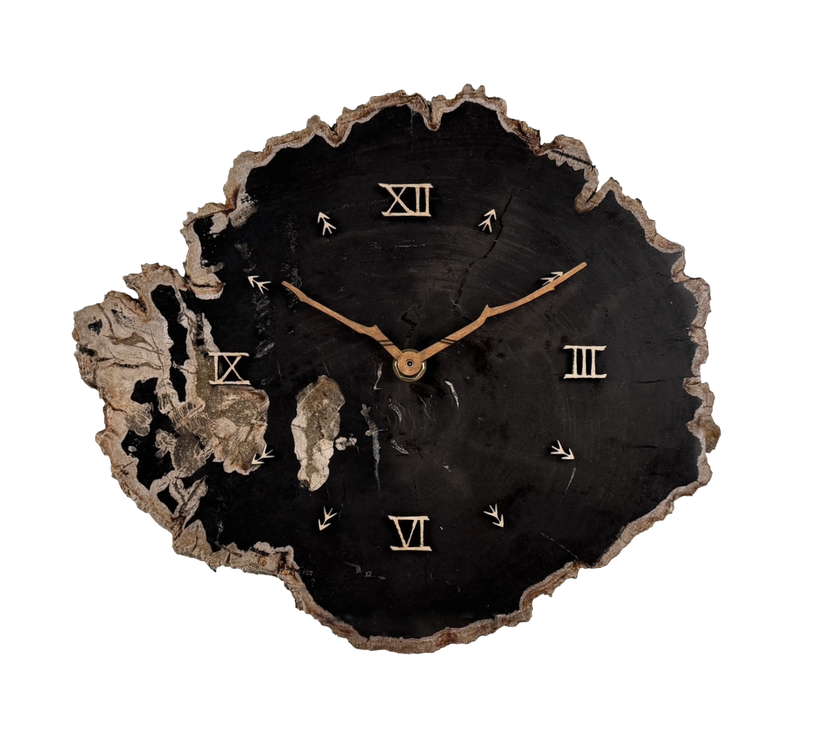 Versteinerte Holz Uhr 1