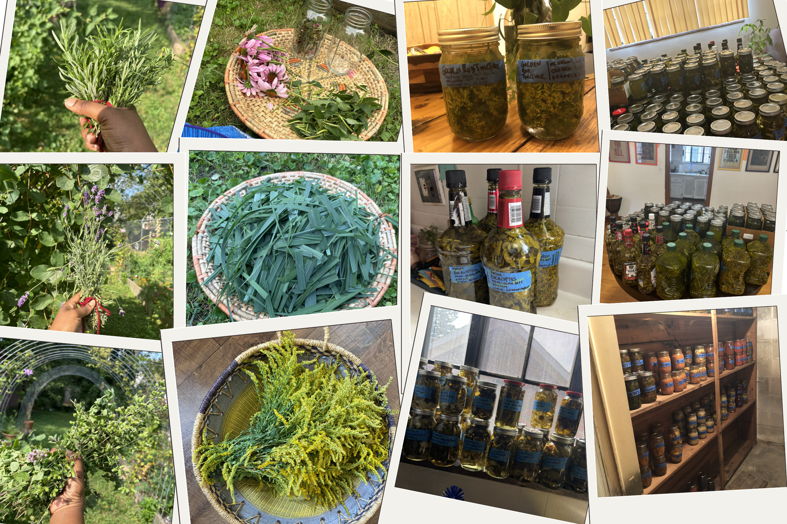 From farm harvested plants to handcrafted remedies, the journey is beautiful.