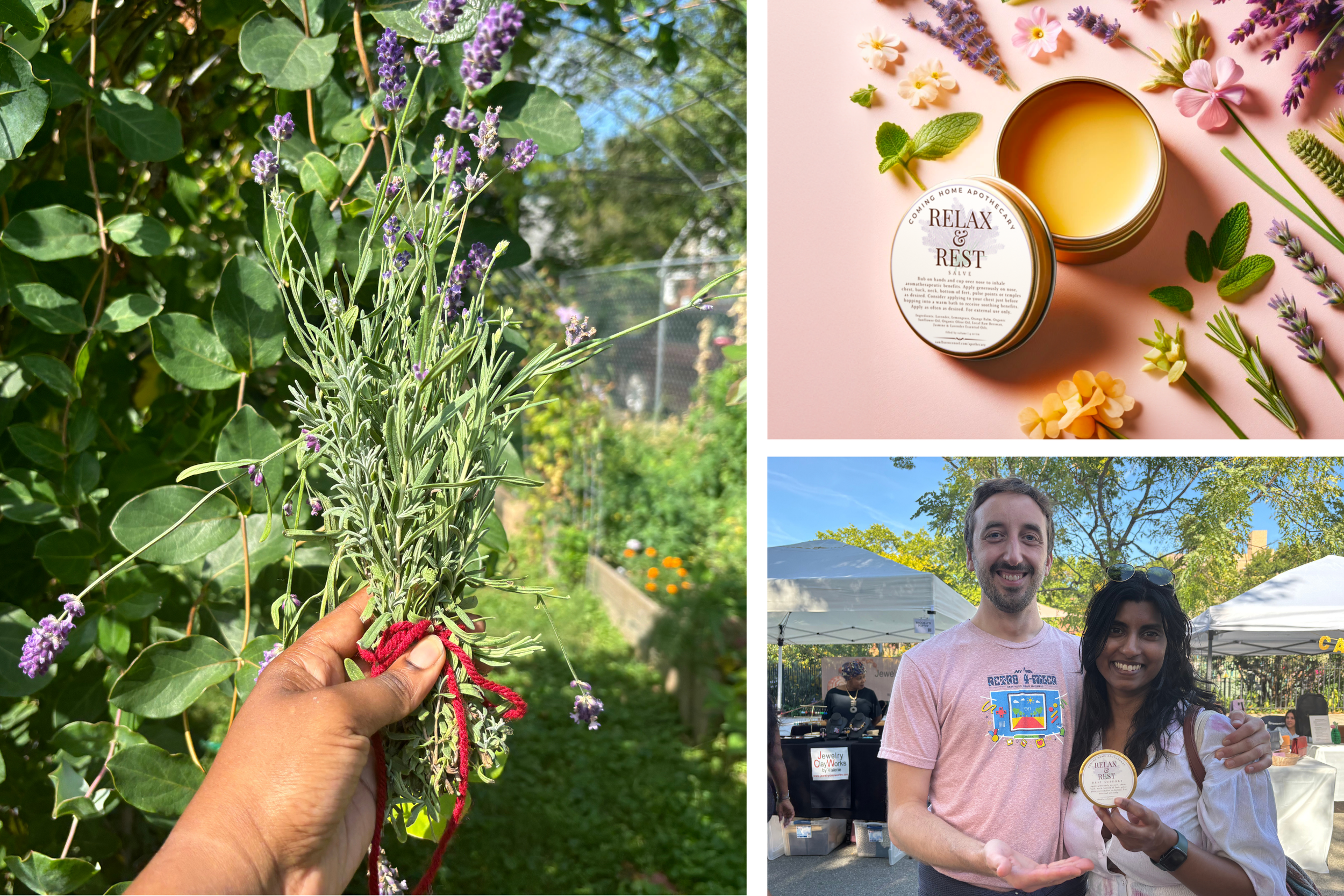 Spotlight of the Relax & Rest salve -- from the key plant (lavender) to the finished product in customers' hands.