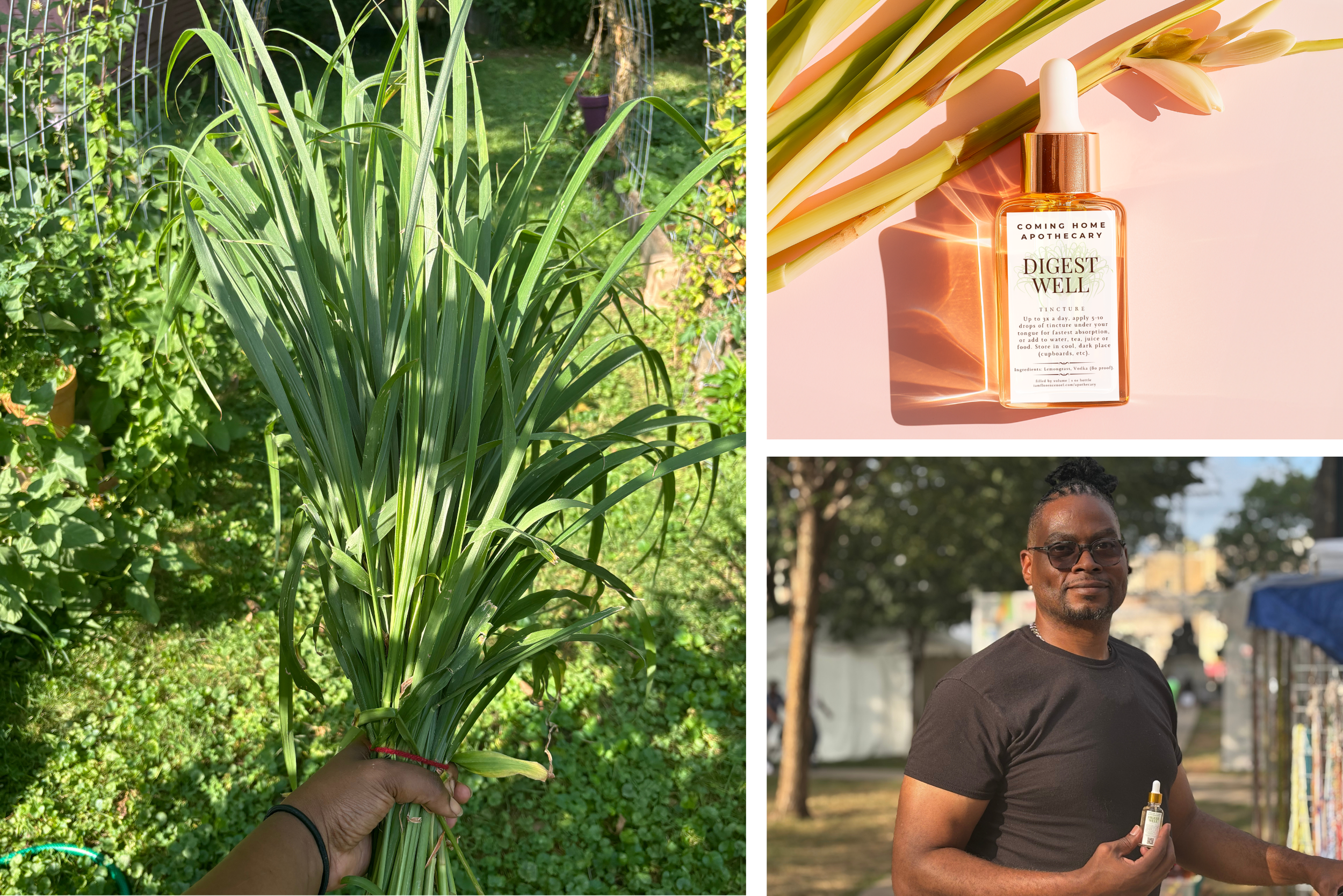 Spotlight of the Digest Well tincture -- from the key plant (lemongrass) to the finished product in customer's hands.