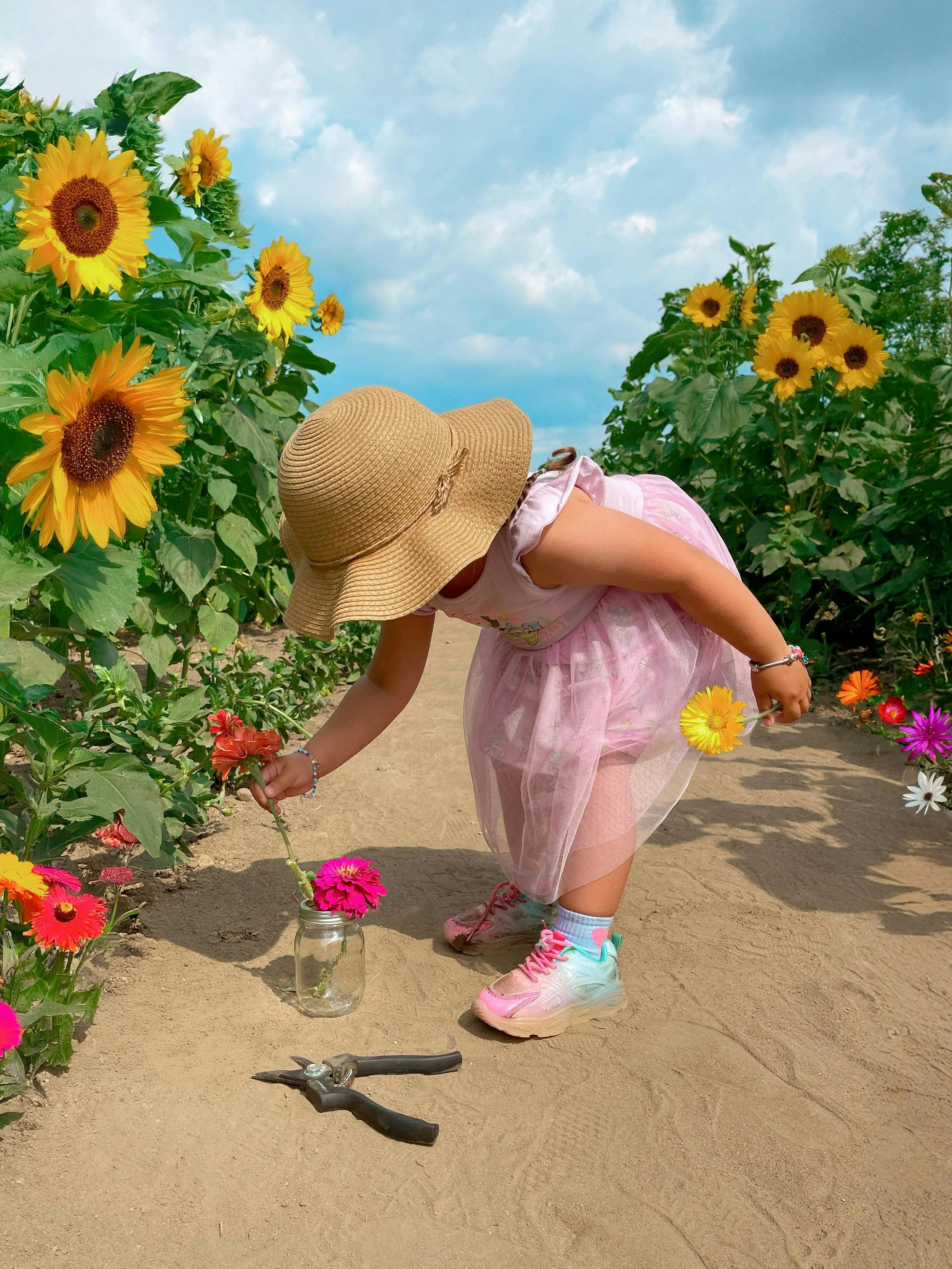 Little Seeds in the Sunshine: 15 Summer Activities to Keep Kids Busy (and Happy!)