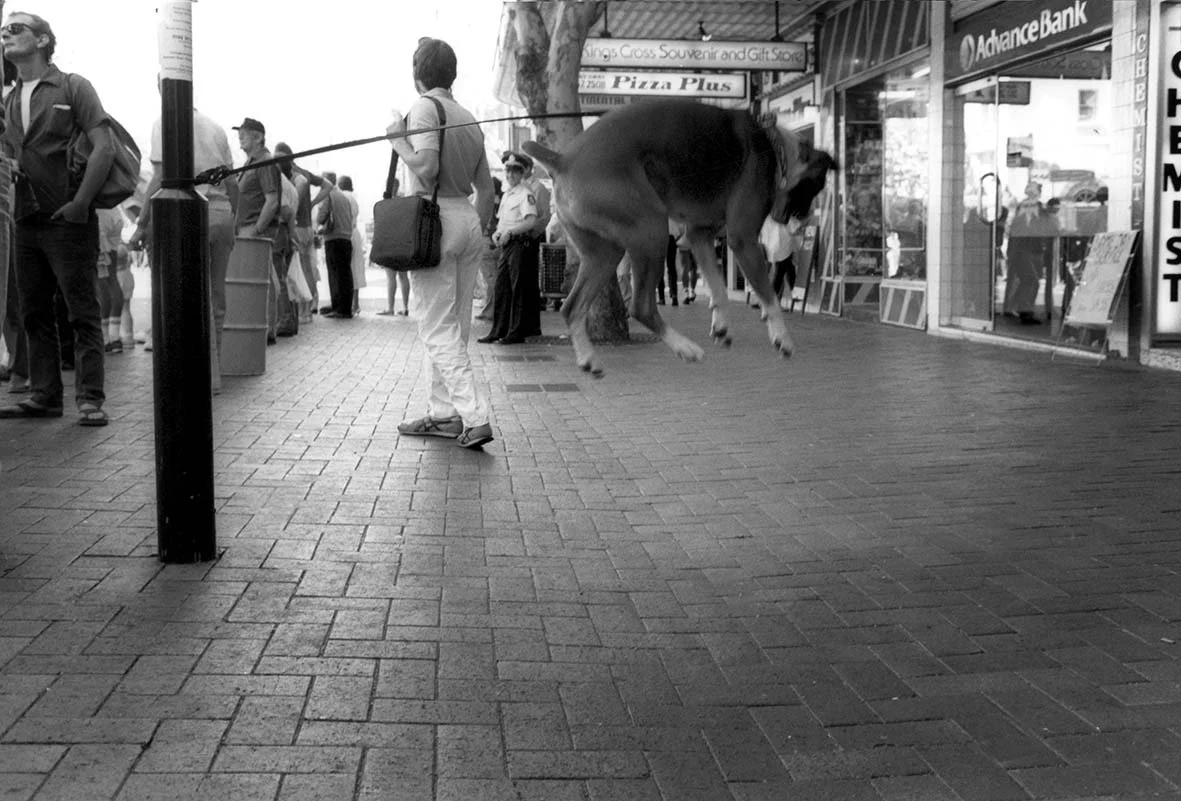 Boxer, Kings Cross