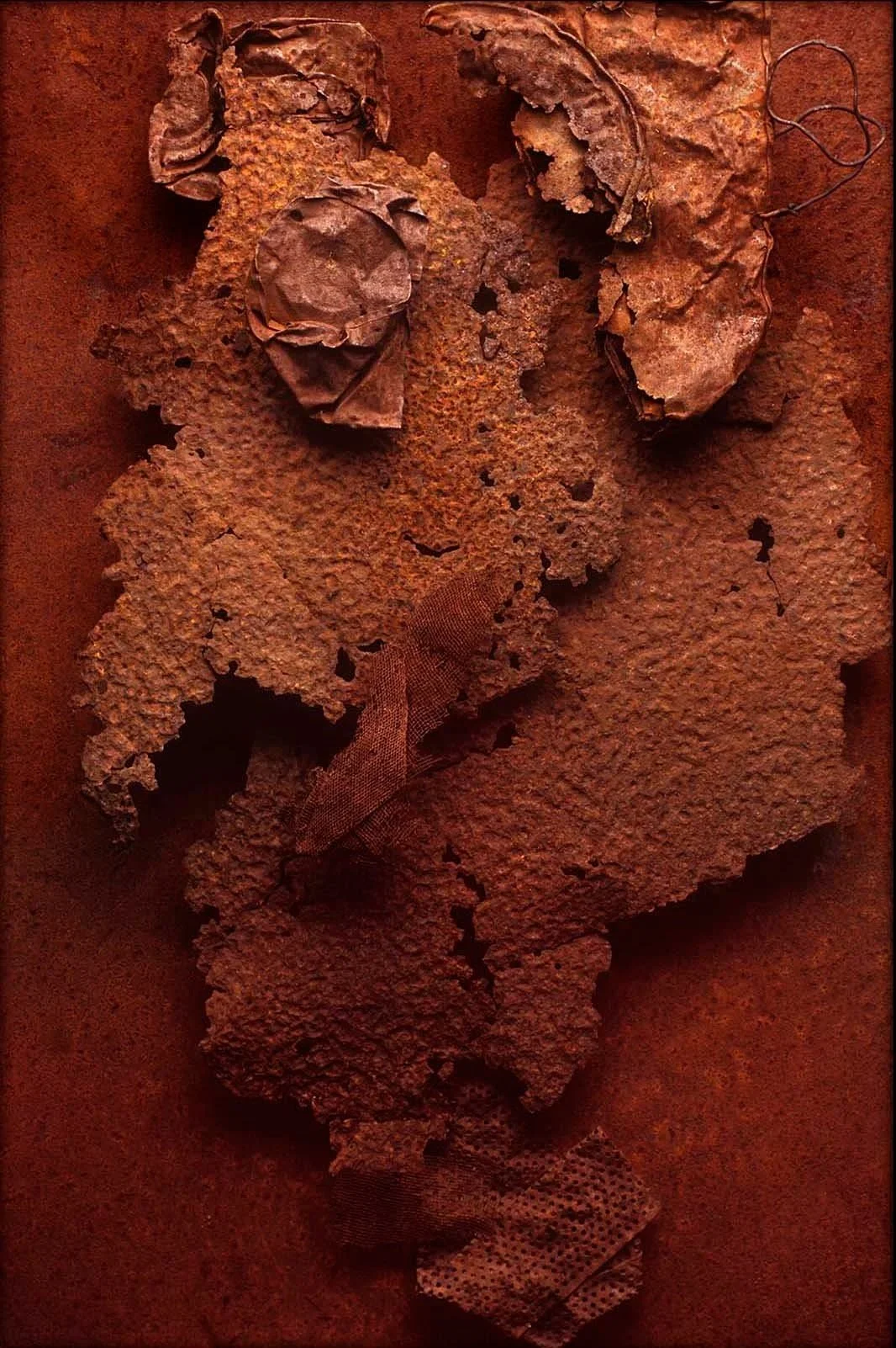 Portrait of a Miner