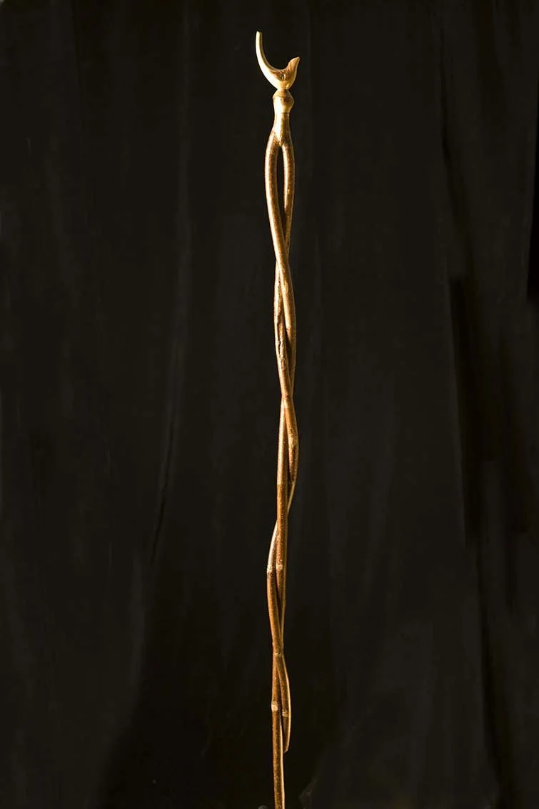 Walking stick (Small Bird) PJA (20H)_4297 copy.jpg
