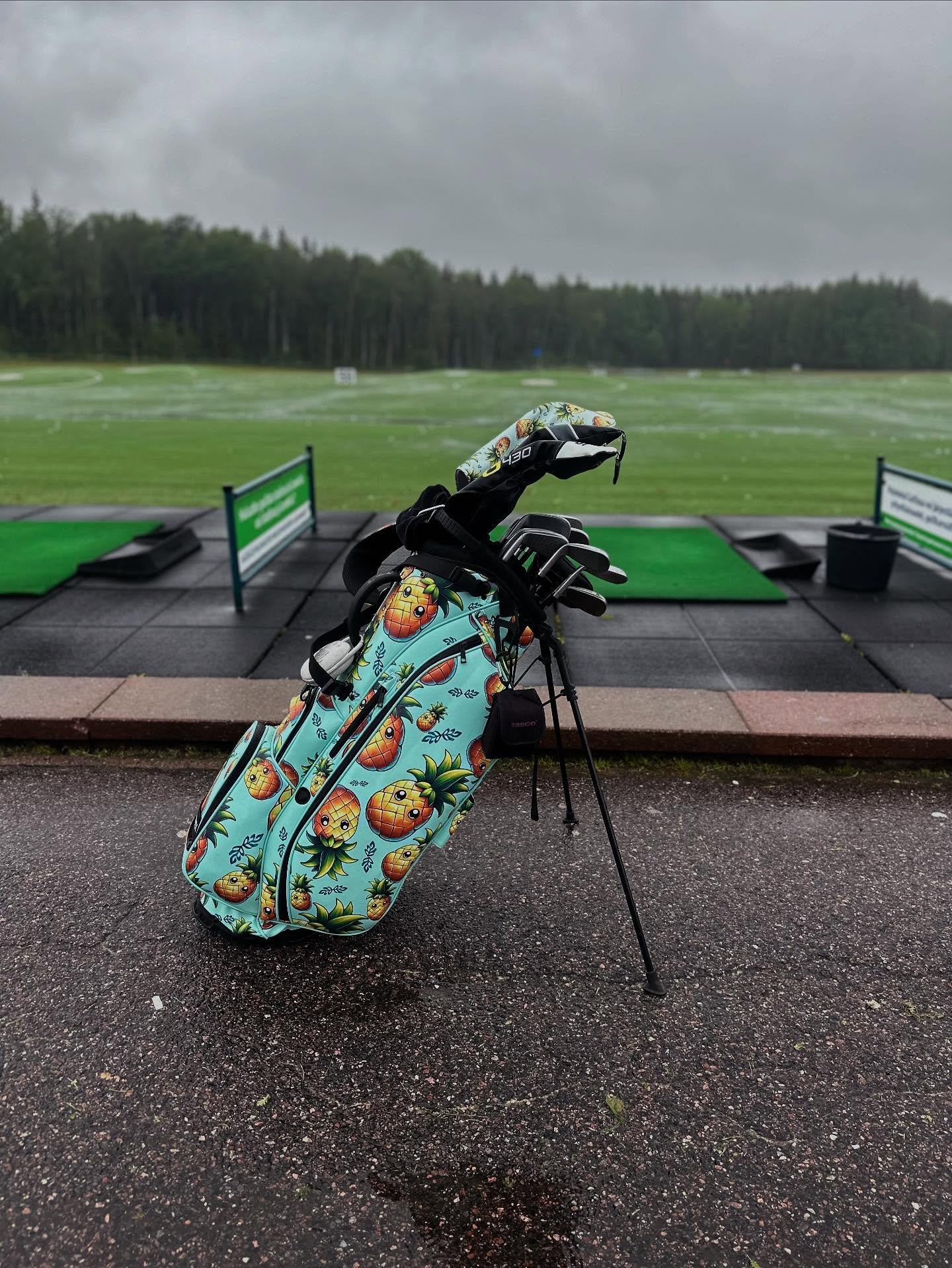 Designed for any weather. 🌧️🌧️ #velvetbronx #vb #golf #golfbag