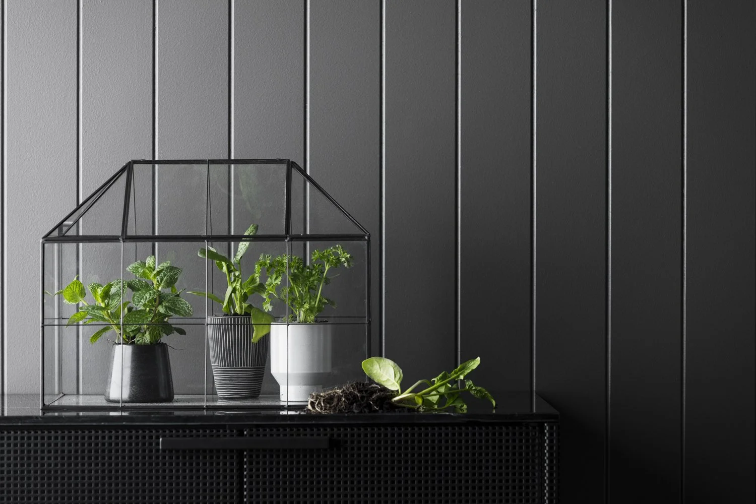Haymes_ColourForecast201833006_Gemmola_LR.jpg