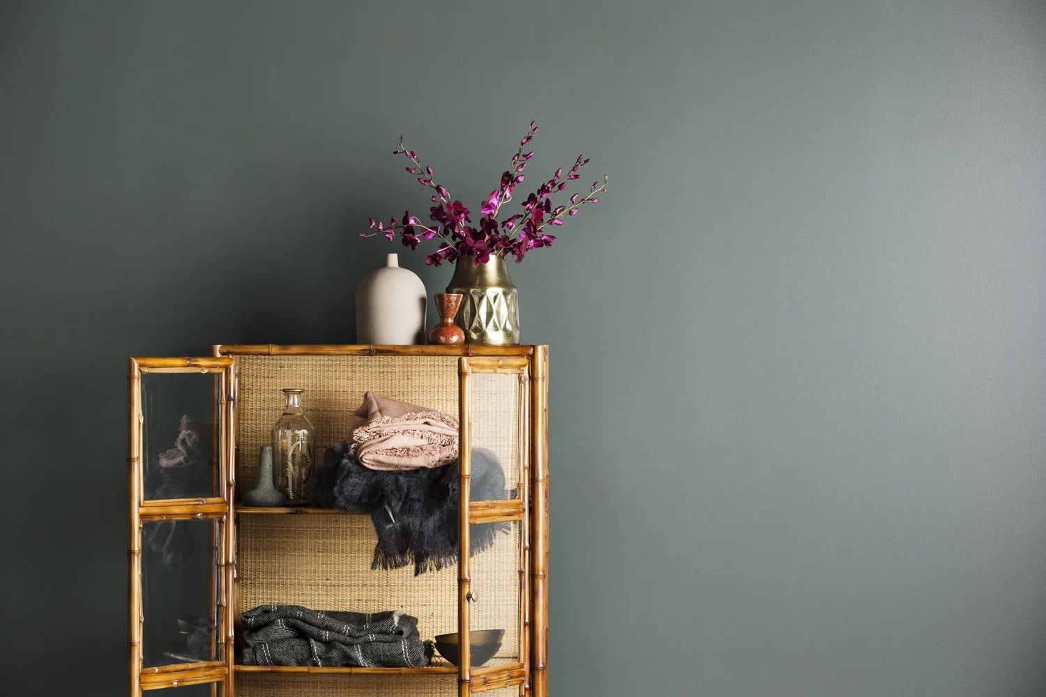 Haymes_ColourForecast20189269_Gemmola_LR.jpg
