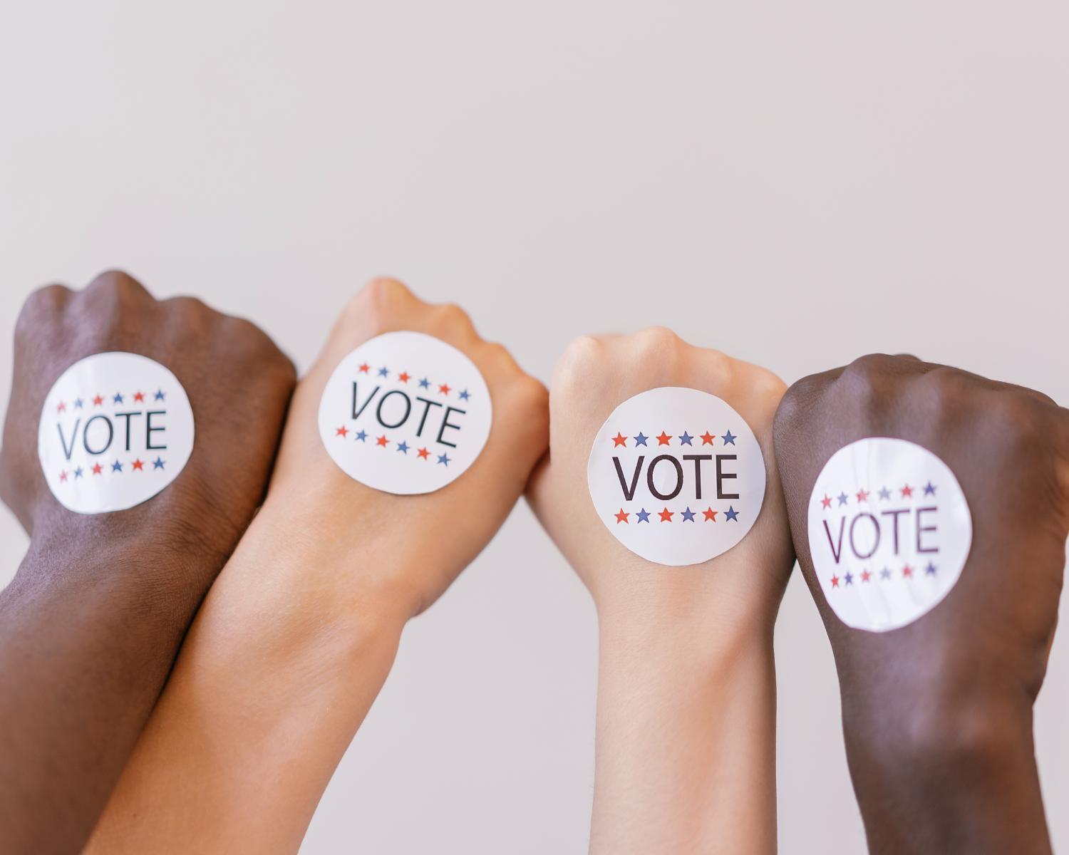 We’re in the Fight Now for Fair Midterm Voting &amp; Elections – Join Us</span>