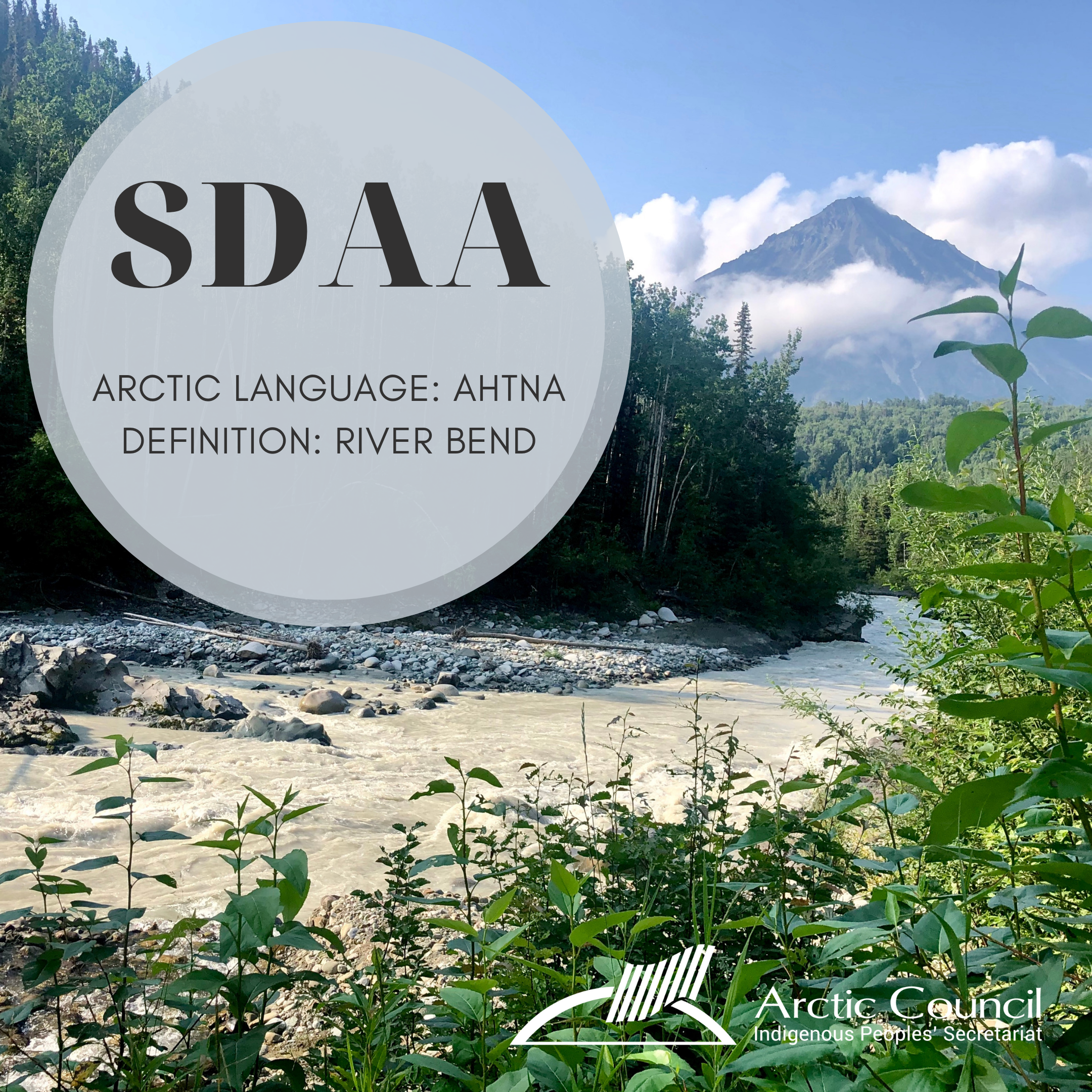 Languages-Social-media-campaign-SDAA.png