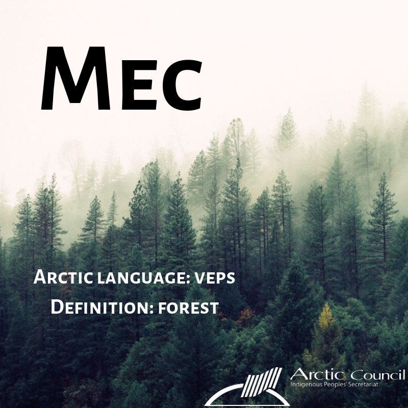 Languages-Social-media-campaign-MEC.png