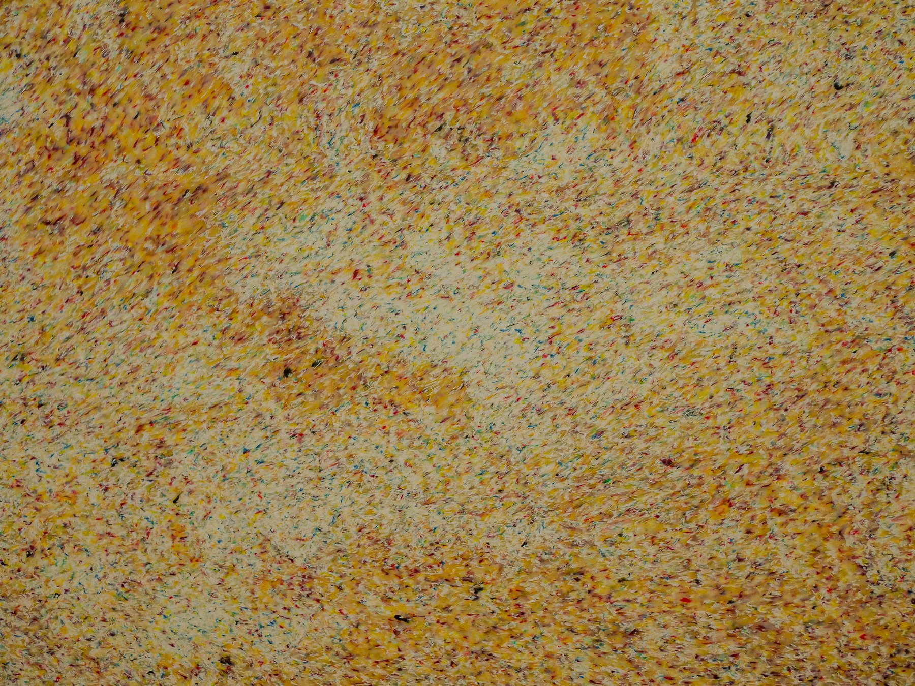 0080_1.jpg