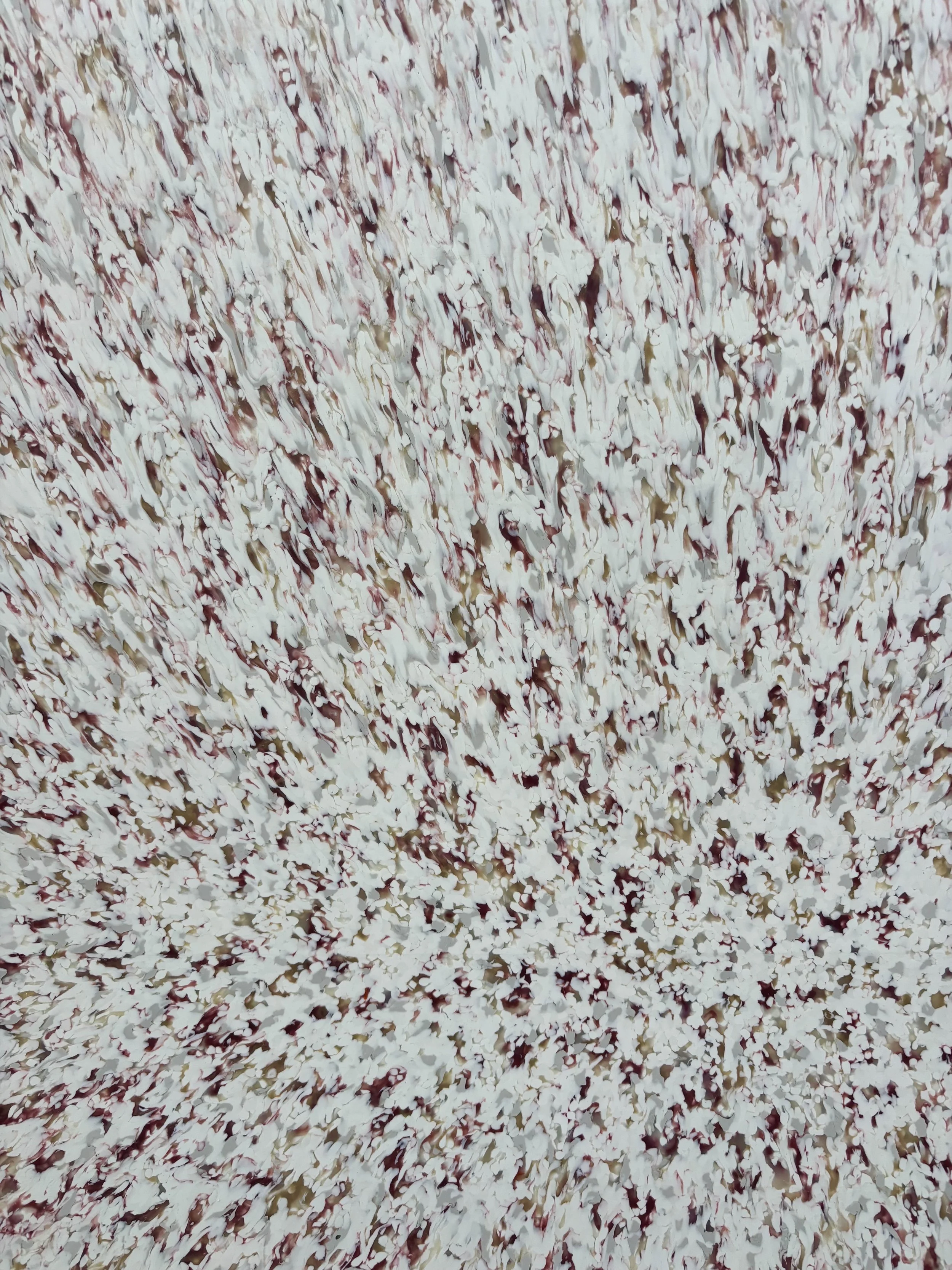 0119 -20-SP-2026-B.jpeg