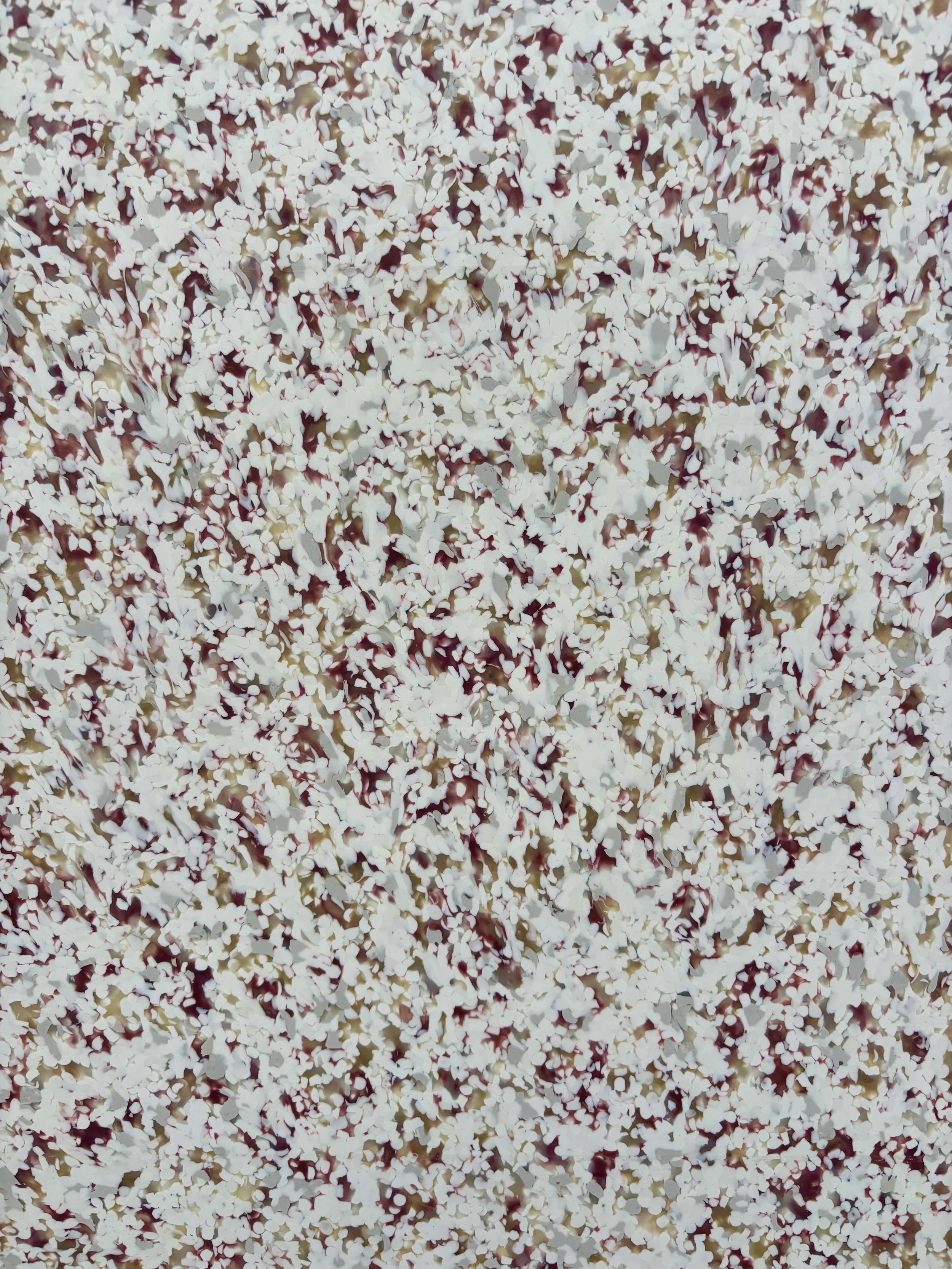 0119 -20-SP-2026-D.jpeg