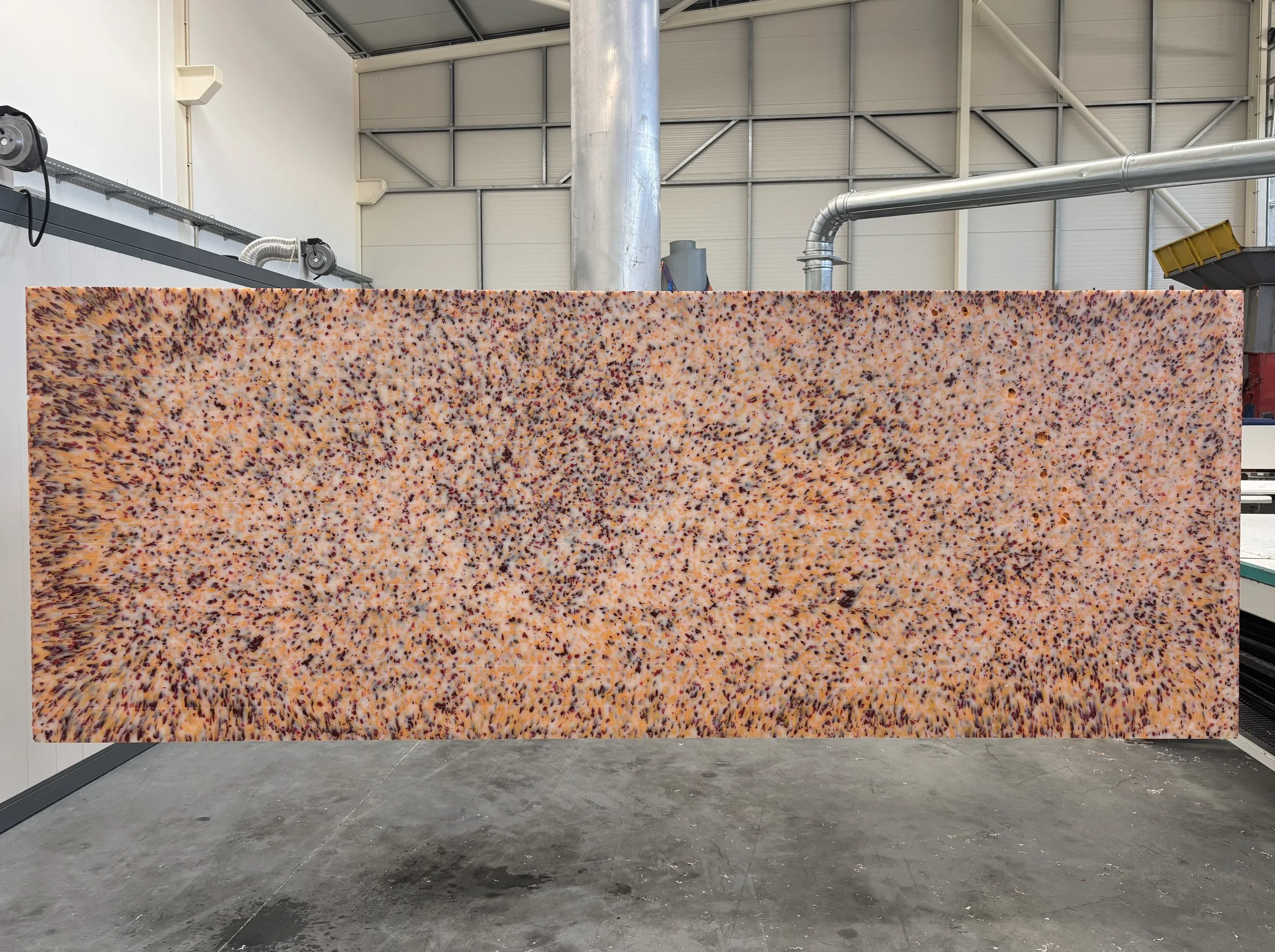 0126 -11-SP-2026-A.jpeg