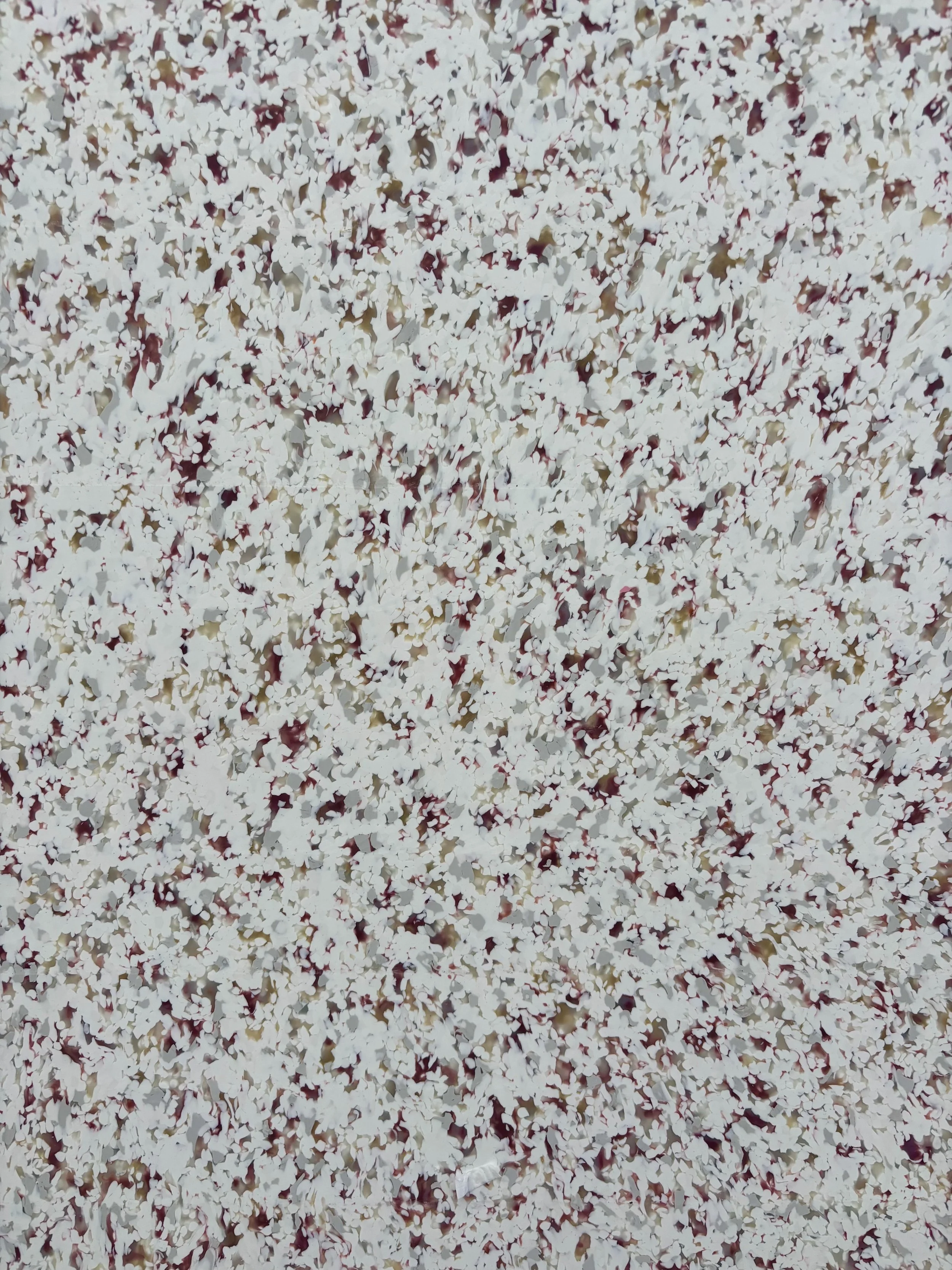 0118 -20-SP-2026-D.jpeg