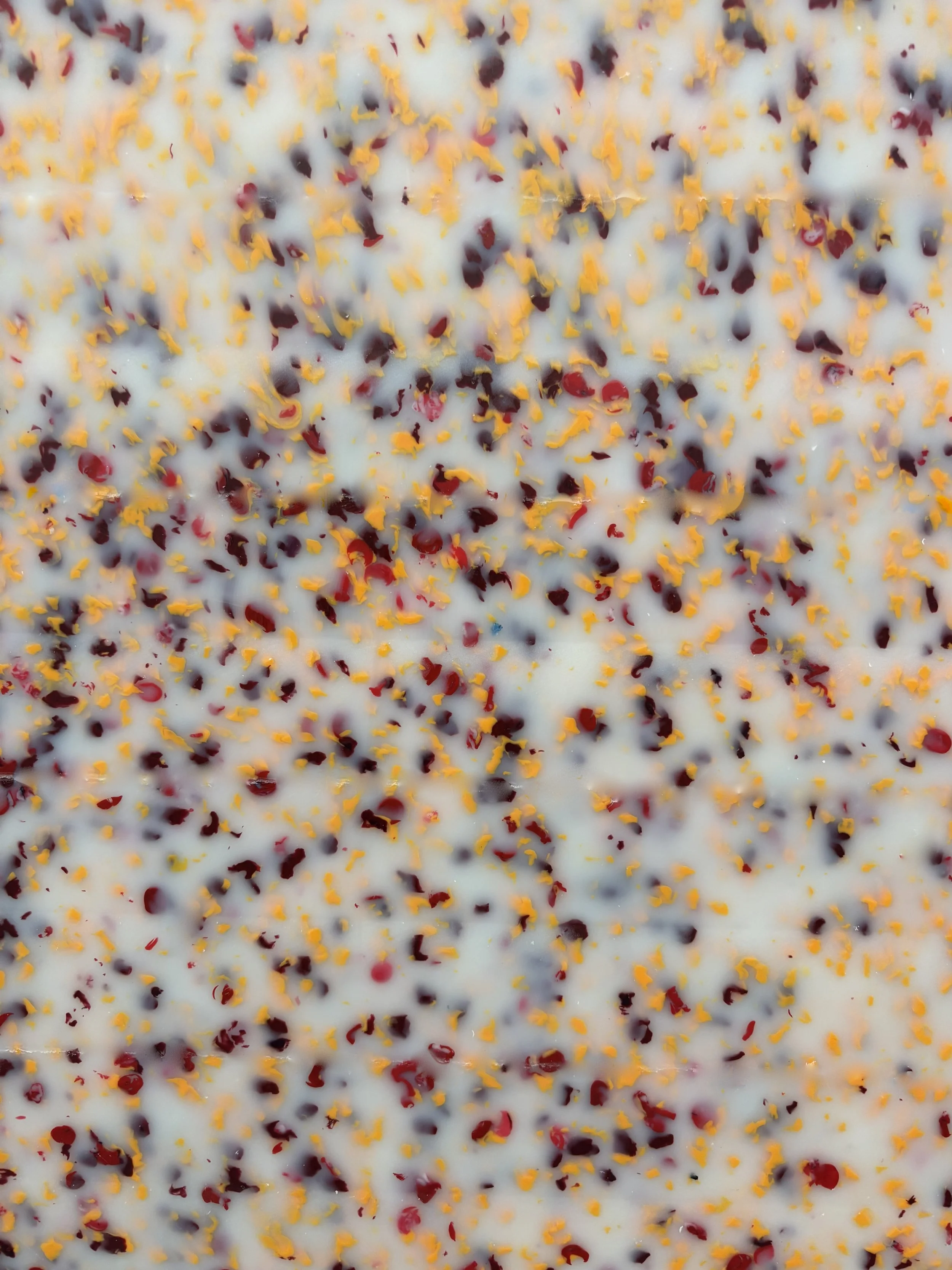 0126 -11-SP-2026-D.jpeg