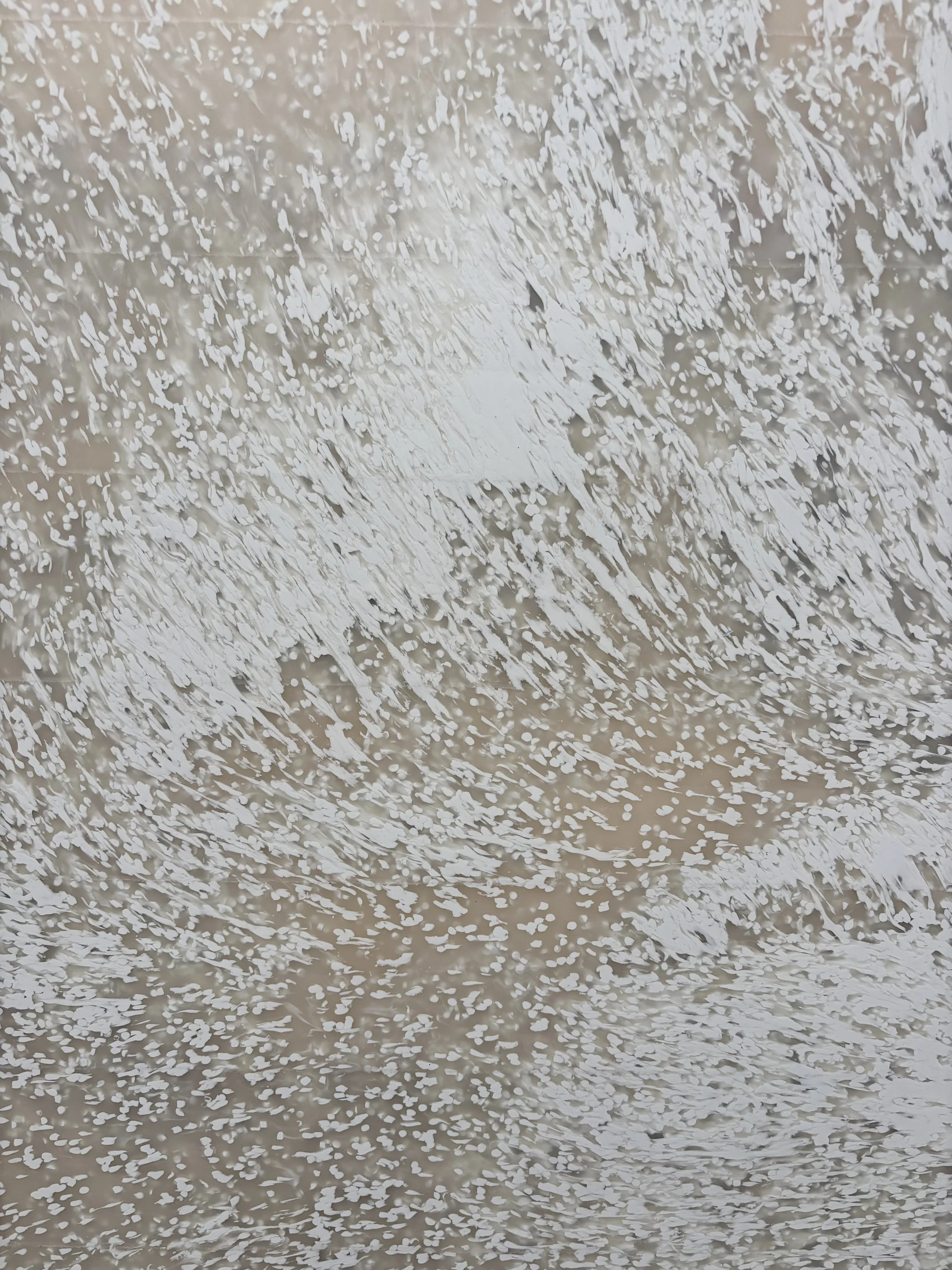 0116 -10-MB-2026-B.jpeg