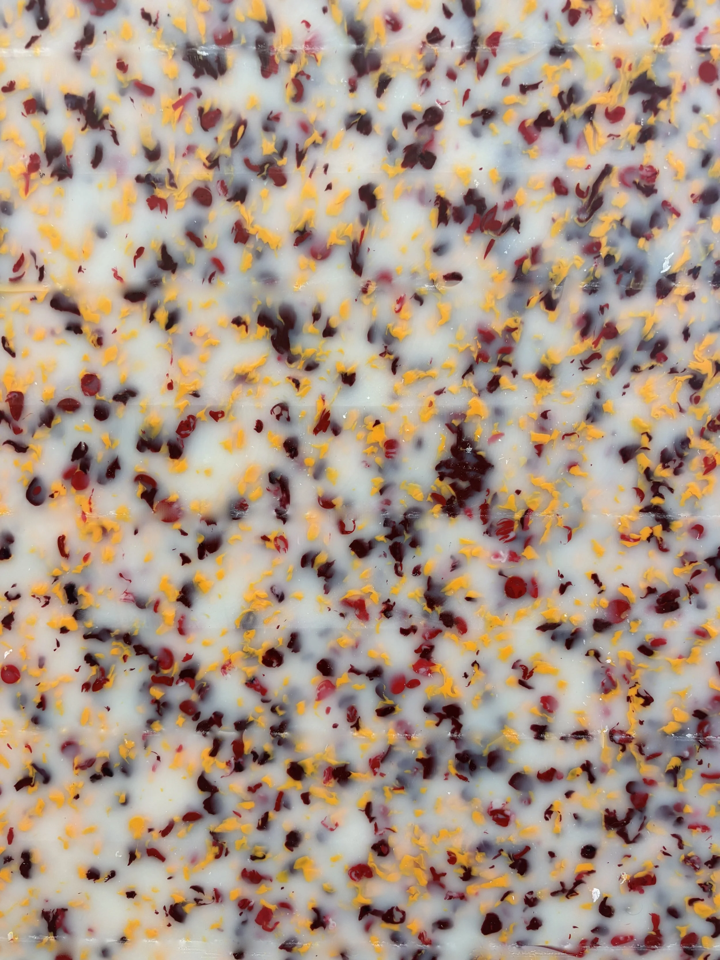 0126 -11-SP-2026-B.jpeg